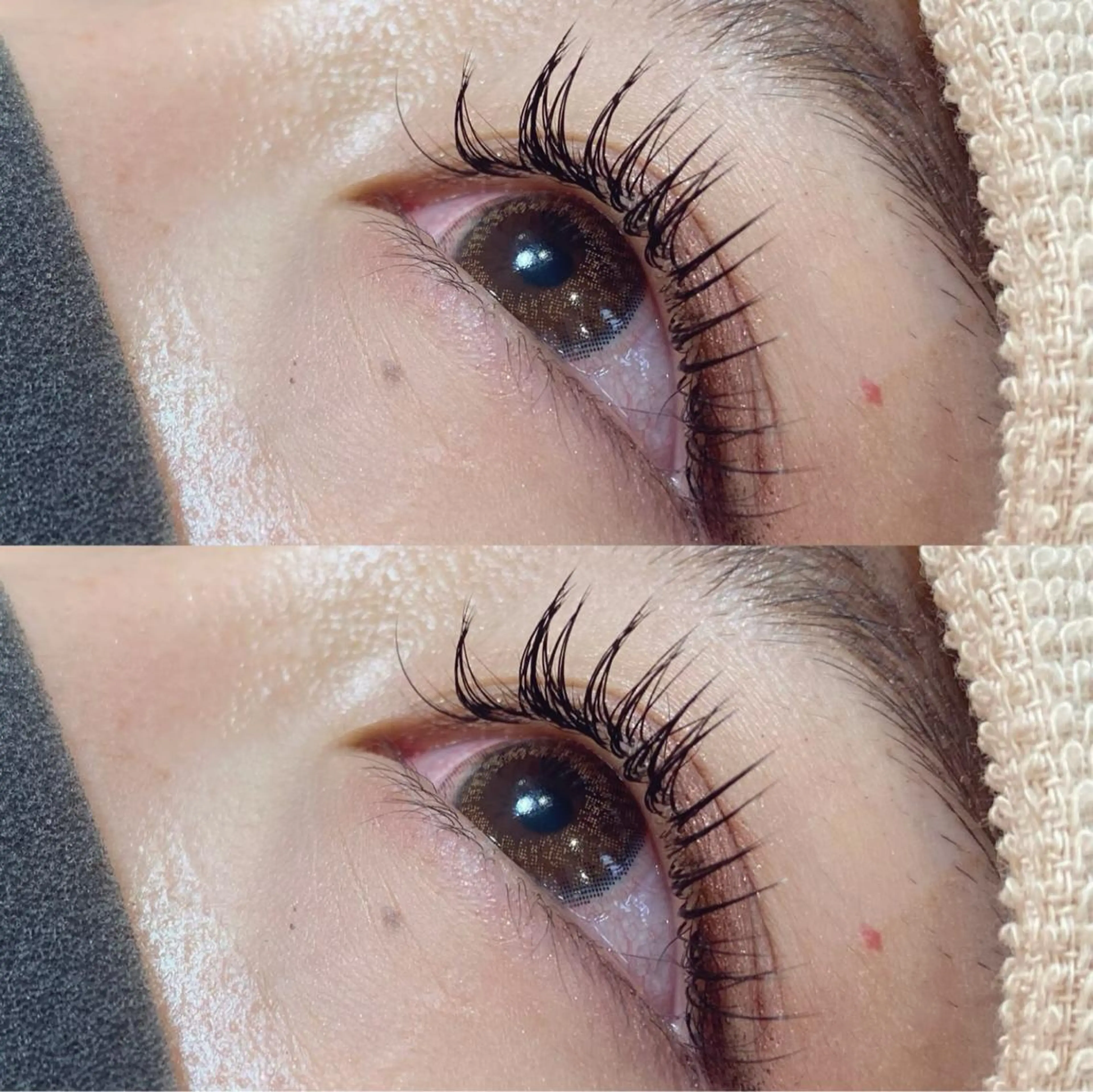 セーブル140本/オフ無料/LEDオフ別途+550円の写真