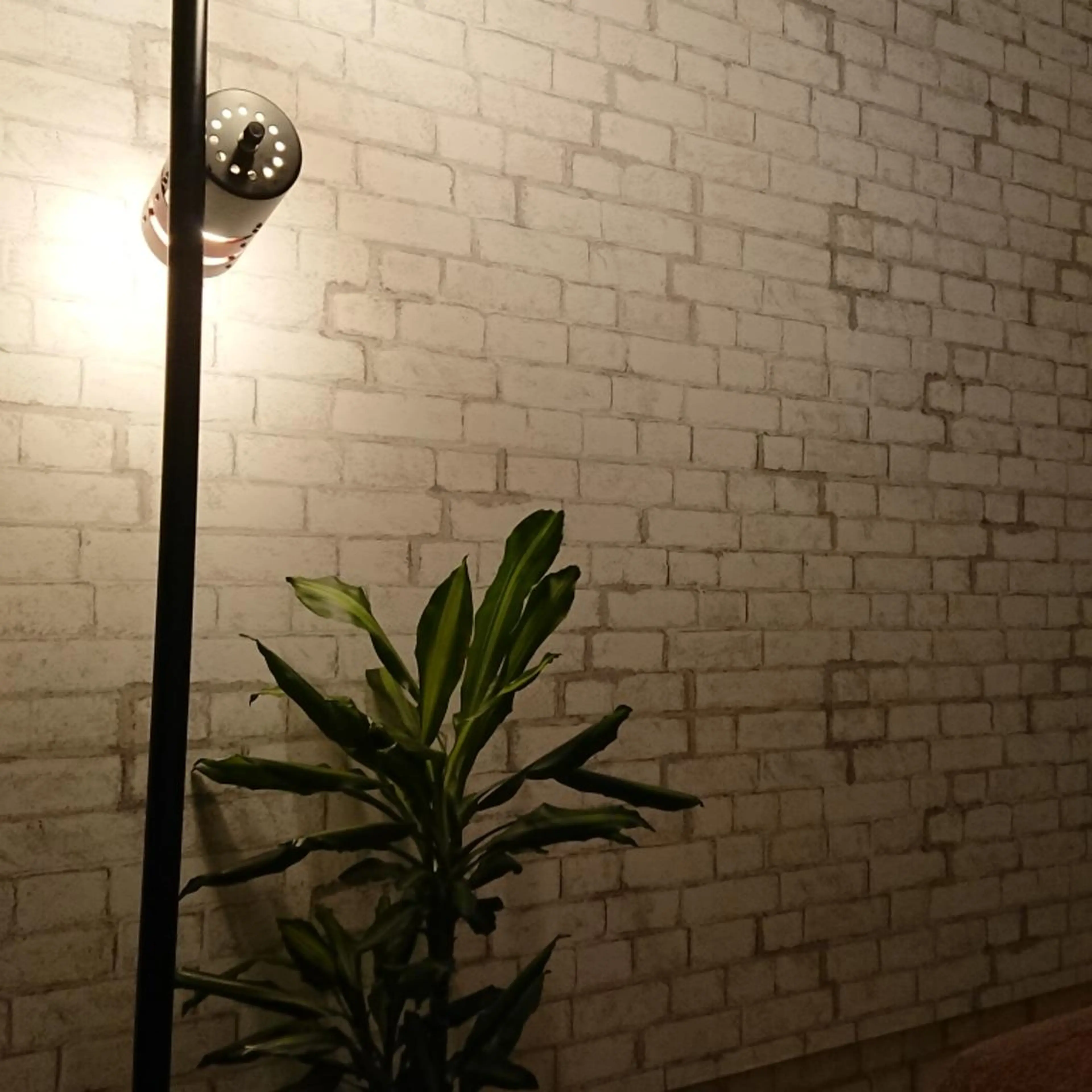 美容矯正 ＱＵＩＣＯ【キコ】のエステ・リラクイメージ