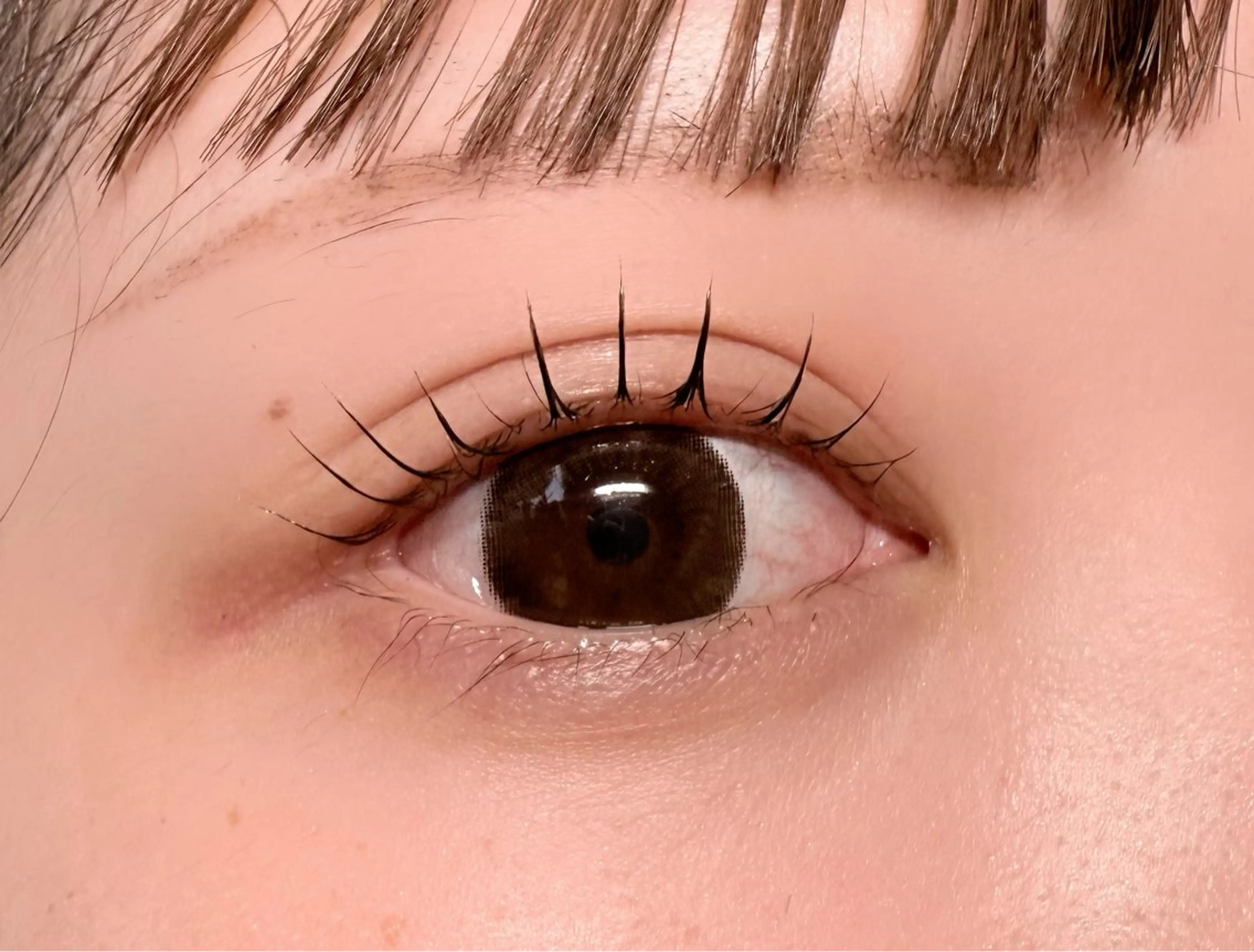 マツエク・マツパ パリジェンヌラッシュリフト 🎀ME-ME Ai🎀のマツエク・マツパデザイン