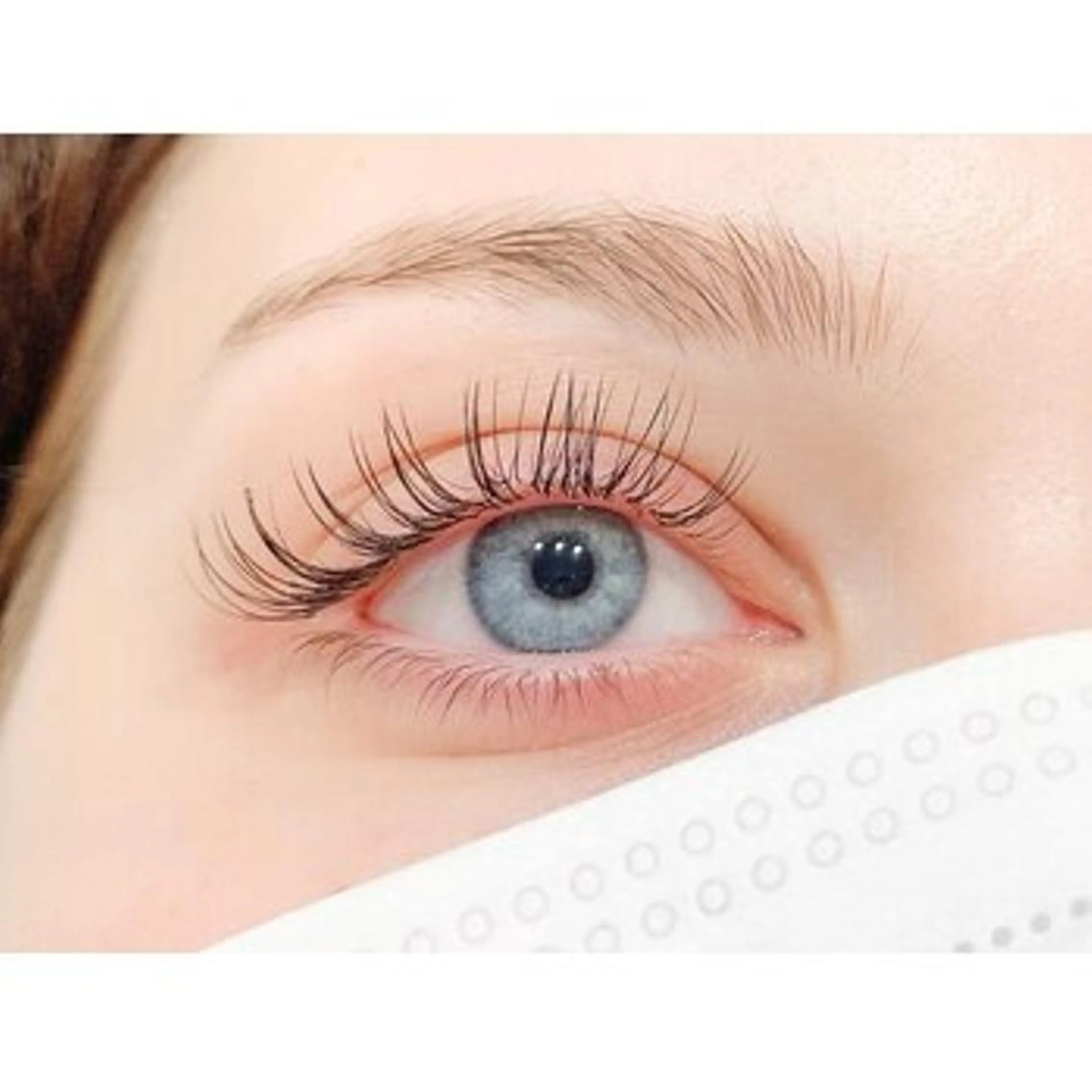 🍃最高級セーブル160本の写真