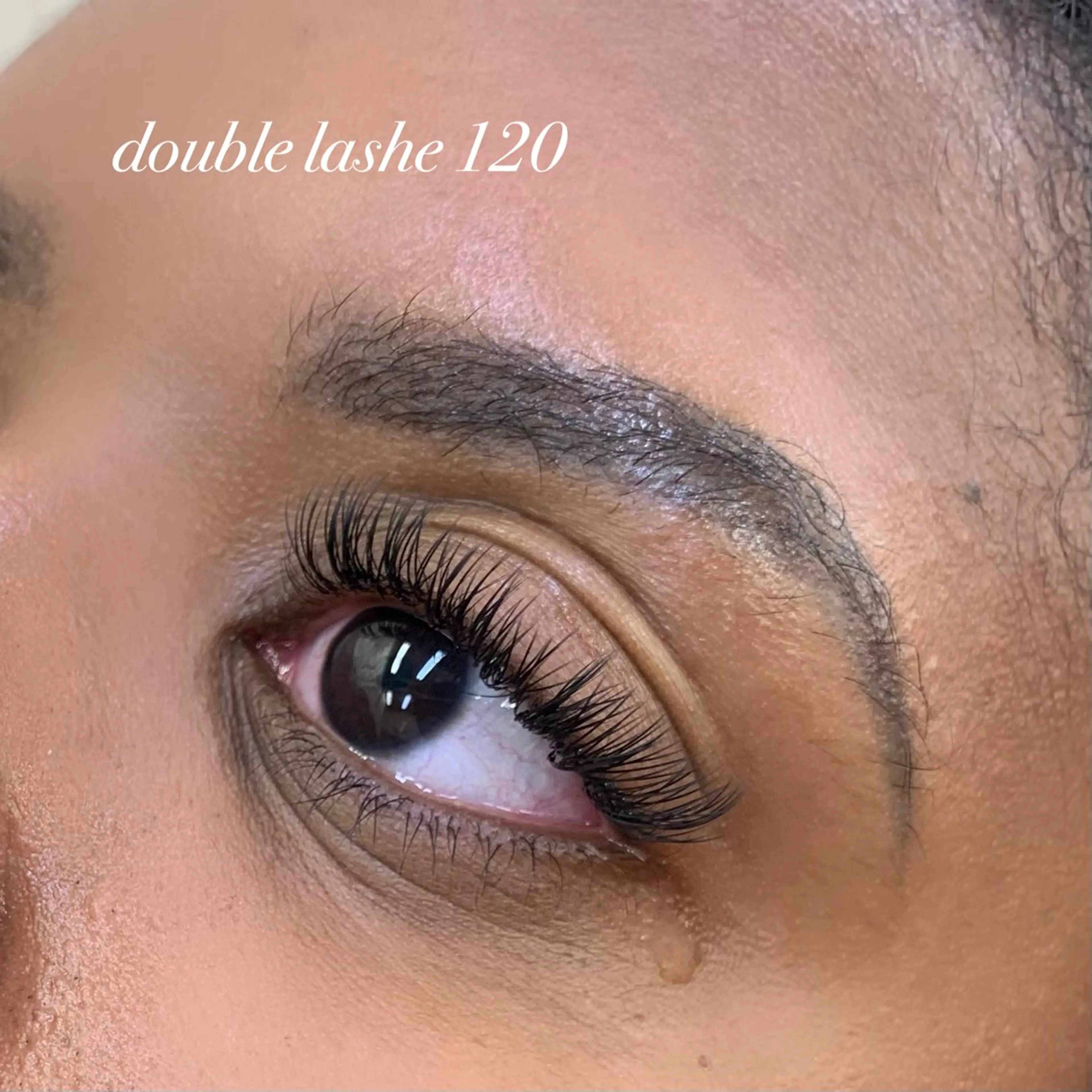 ダブルラッシュ 120束の写真