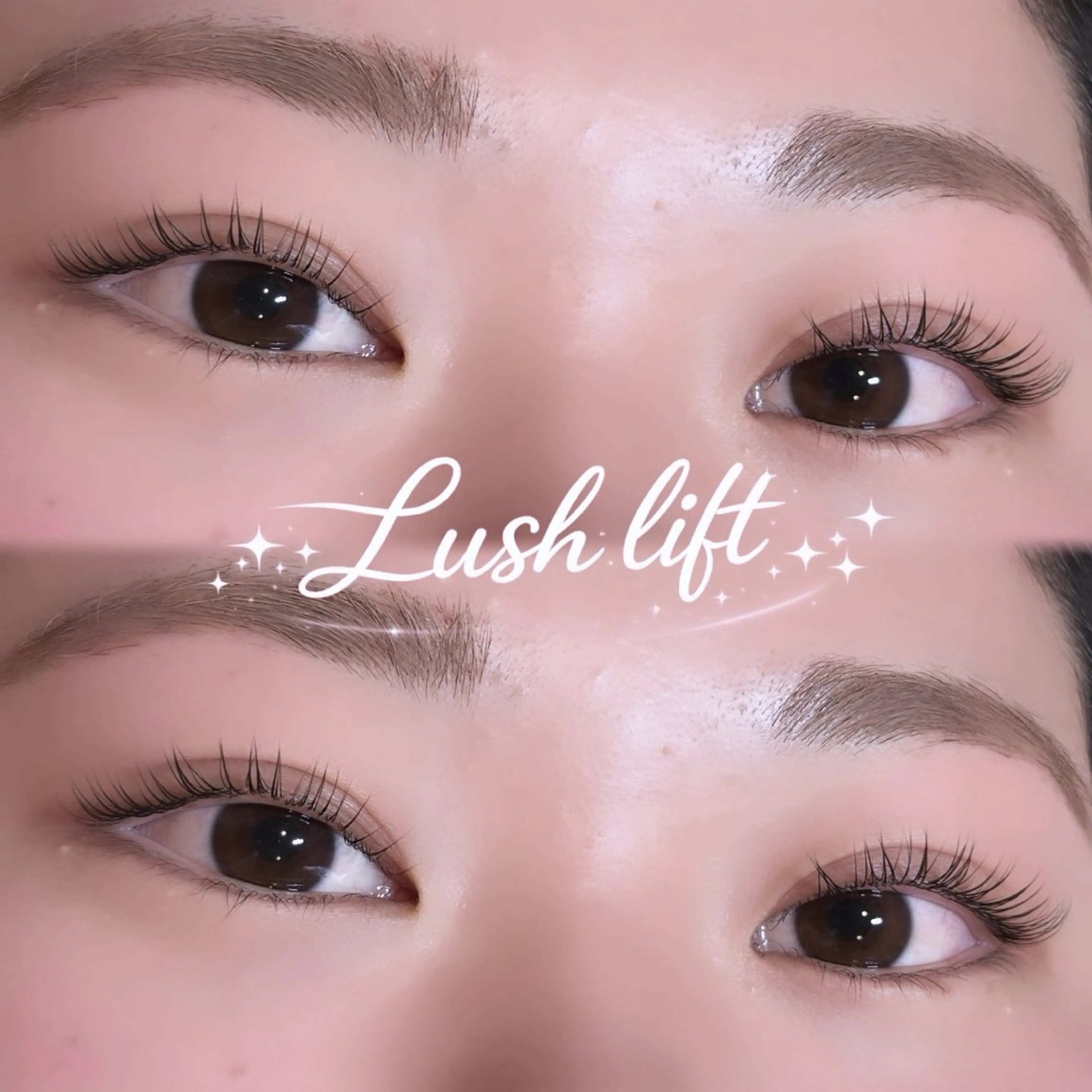 🤍垢抜けSET🤍まつ毛パーマ× 眉毛wax 【限定価格】の写真