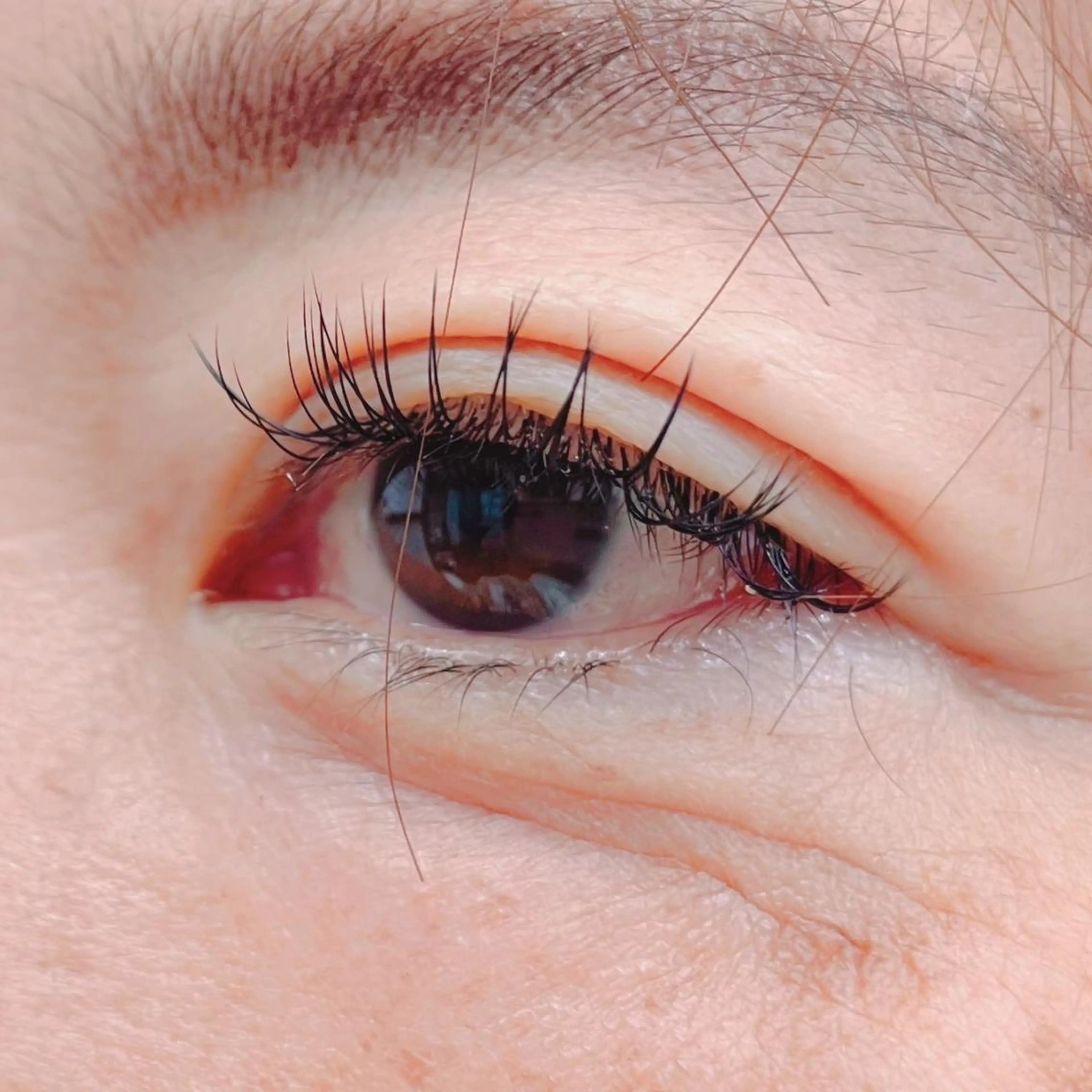 マツエク・マツパ Cカール キュート マツエク blanca🌺 mayu(東白楽)の眉毛・アイブロウイメージ