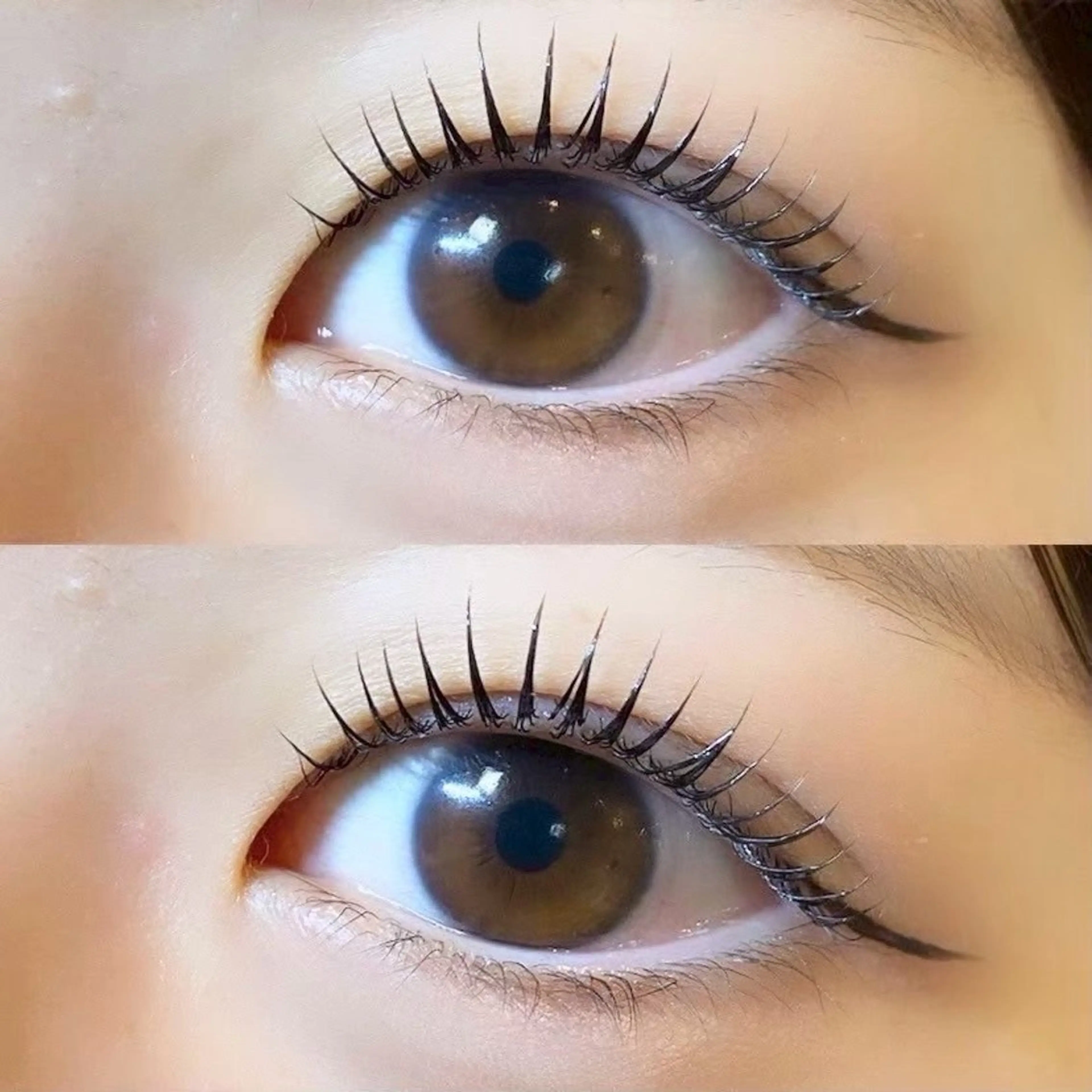 フラットラッシュ100本の写真