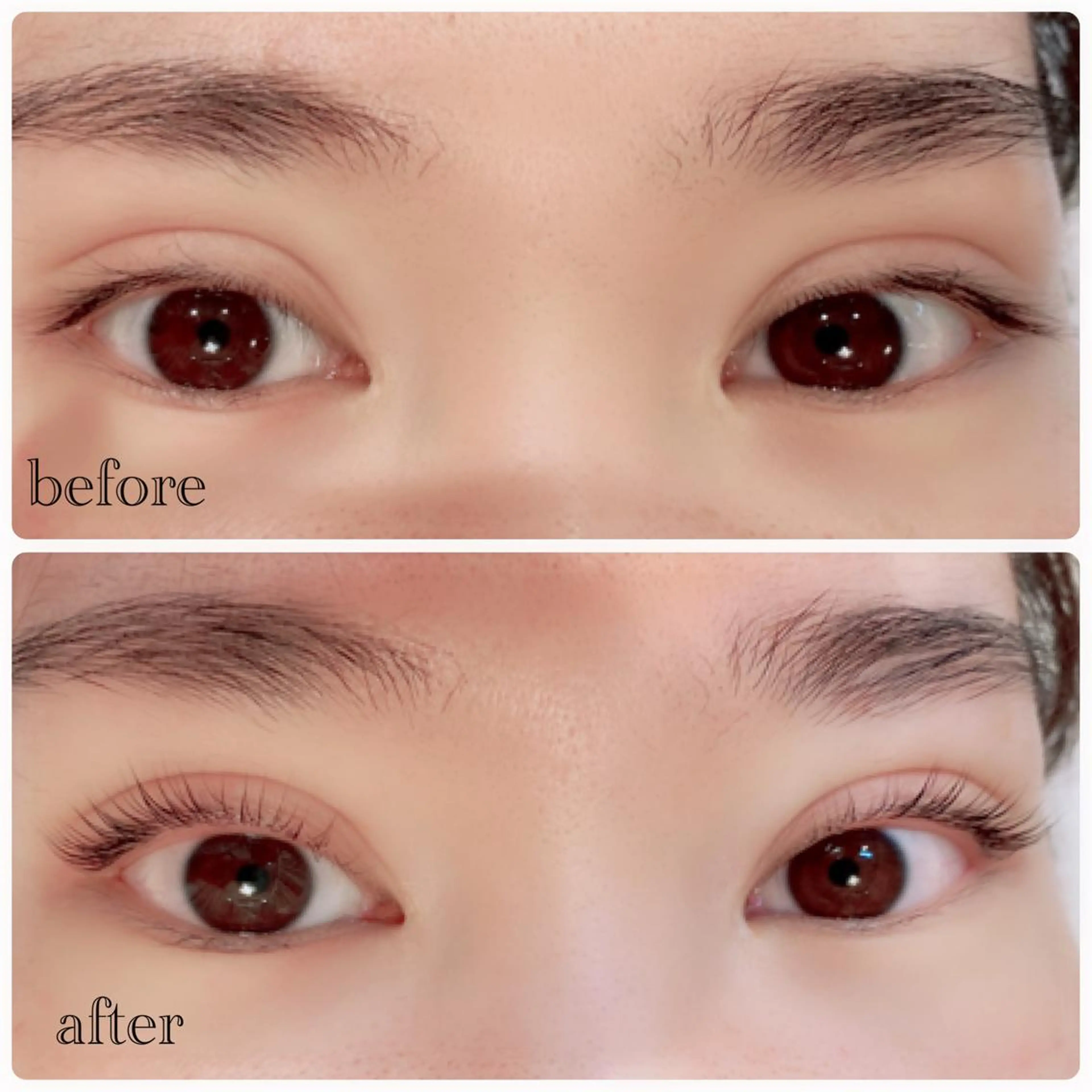 🍓【まつげパーマ】＋濃密プラセンタゼリーアイパック😋✨コーティングでお仕上げの写真