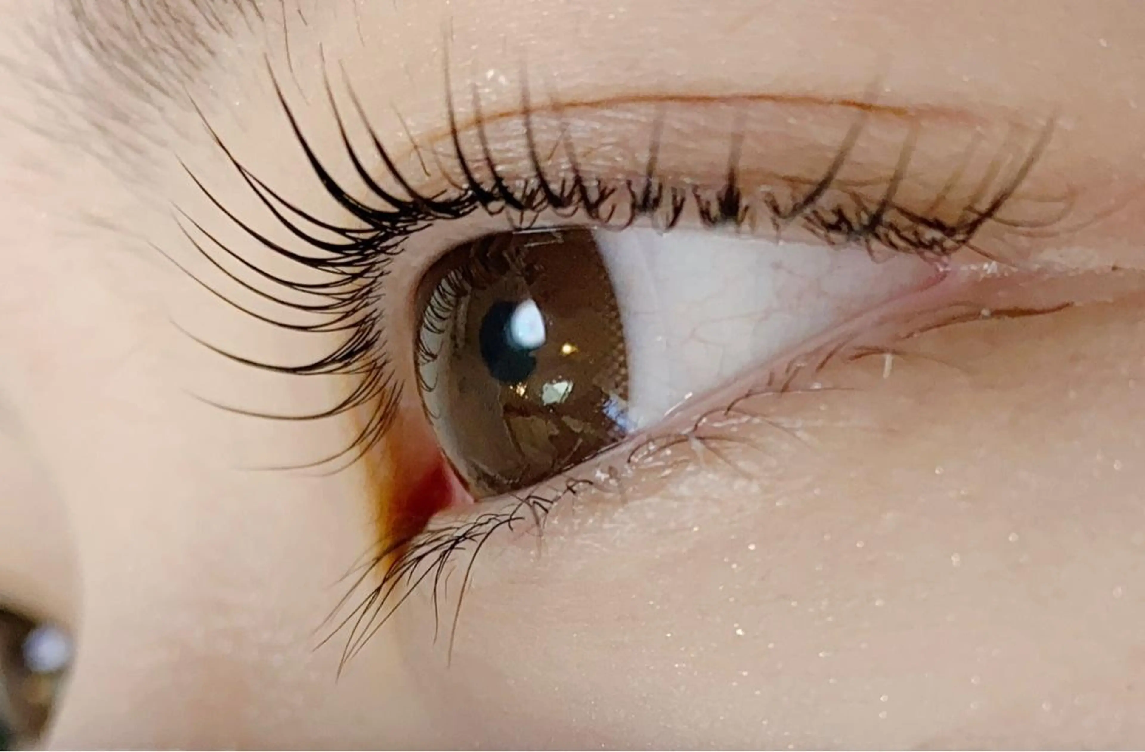 マツエク・マツパ LED＋550円☆ Omueyelashのマツエク・マツパデザイン