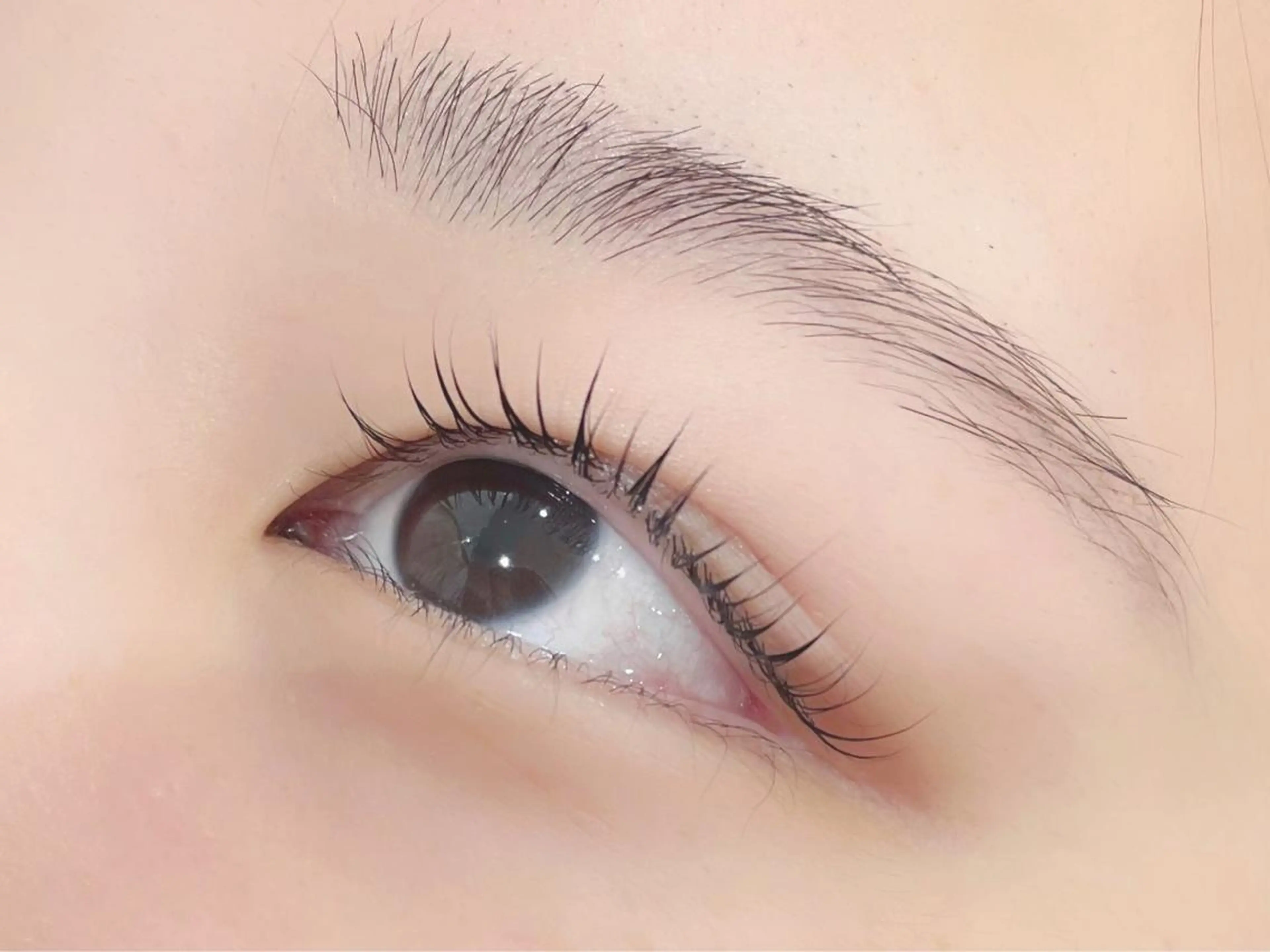 マツエク・マツパ Flara 京都七条高倉店のマツエク・マツパデザイン