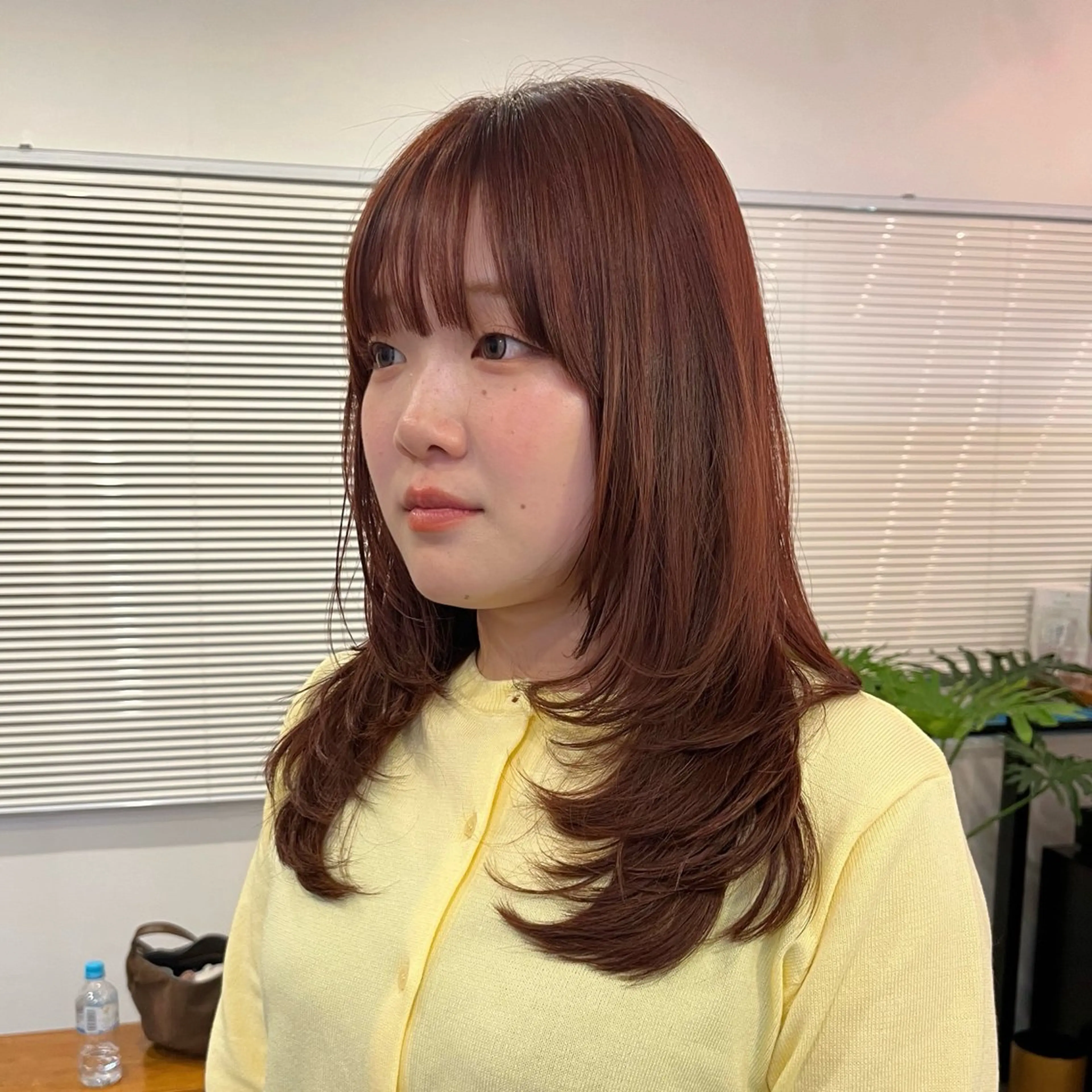 セミロング カラー レイヤーカット カット ヘアカラー NAO ꩜✧˖°.のヘアスタイル