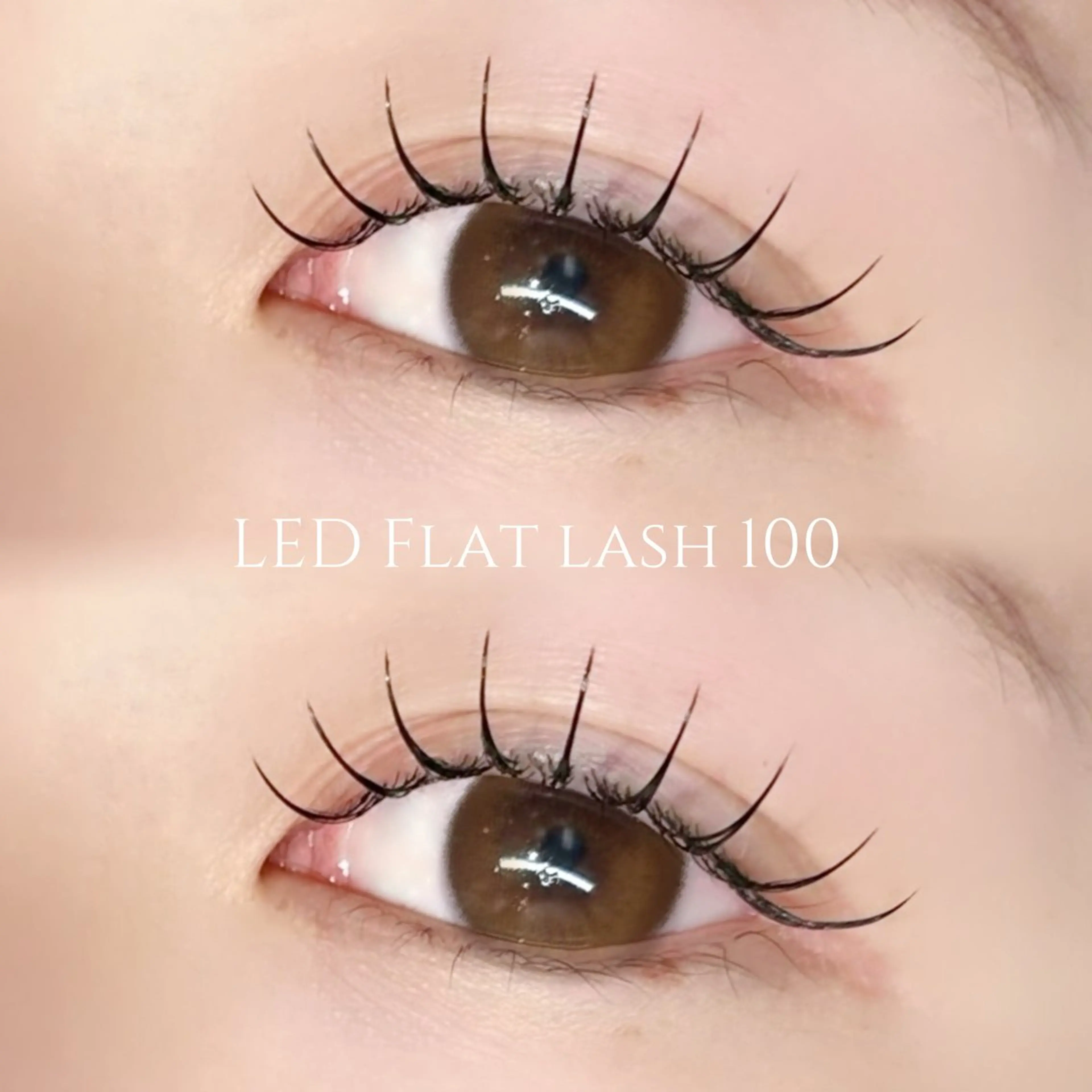 【モチ抜群◎】オフあり🙆🏻LEDフラットラッシュ100本💛ご新規様 ¥5500/再来様 ¥6830の写真