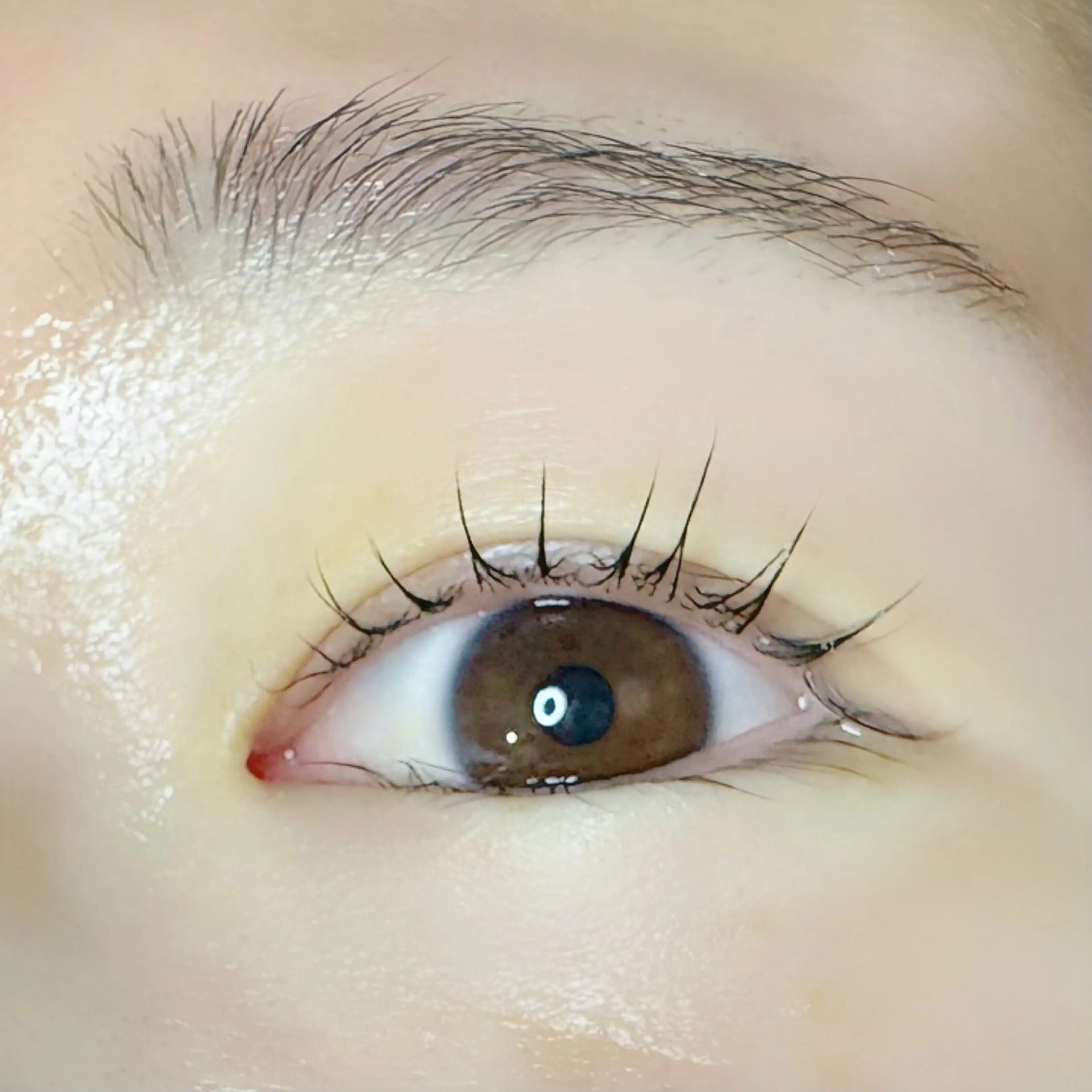 マツエク・マツパ 【医療提携エステ】 ルミナス北浦和のその他イメージ