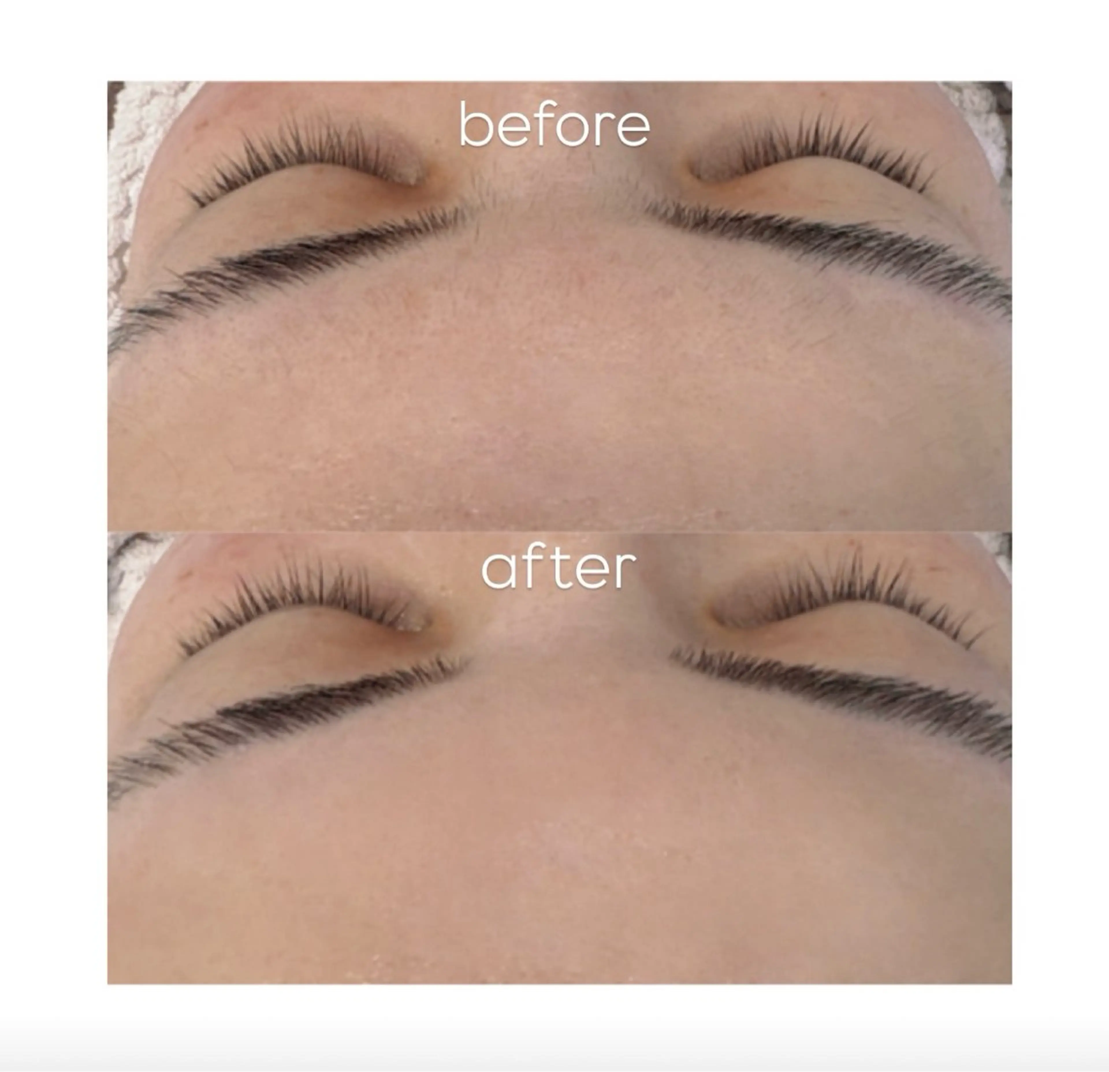 ミニモ限定☆眉毛&おでこwaxの写真