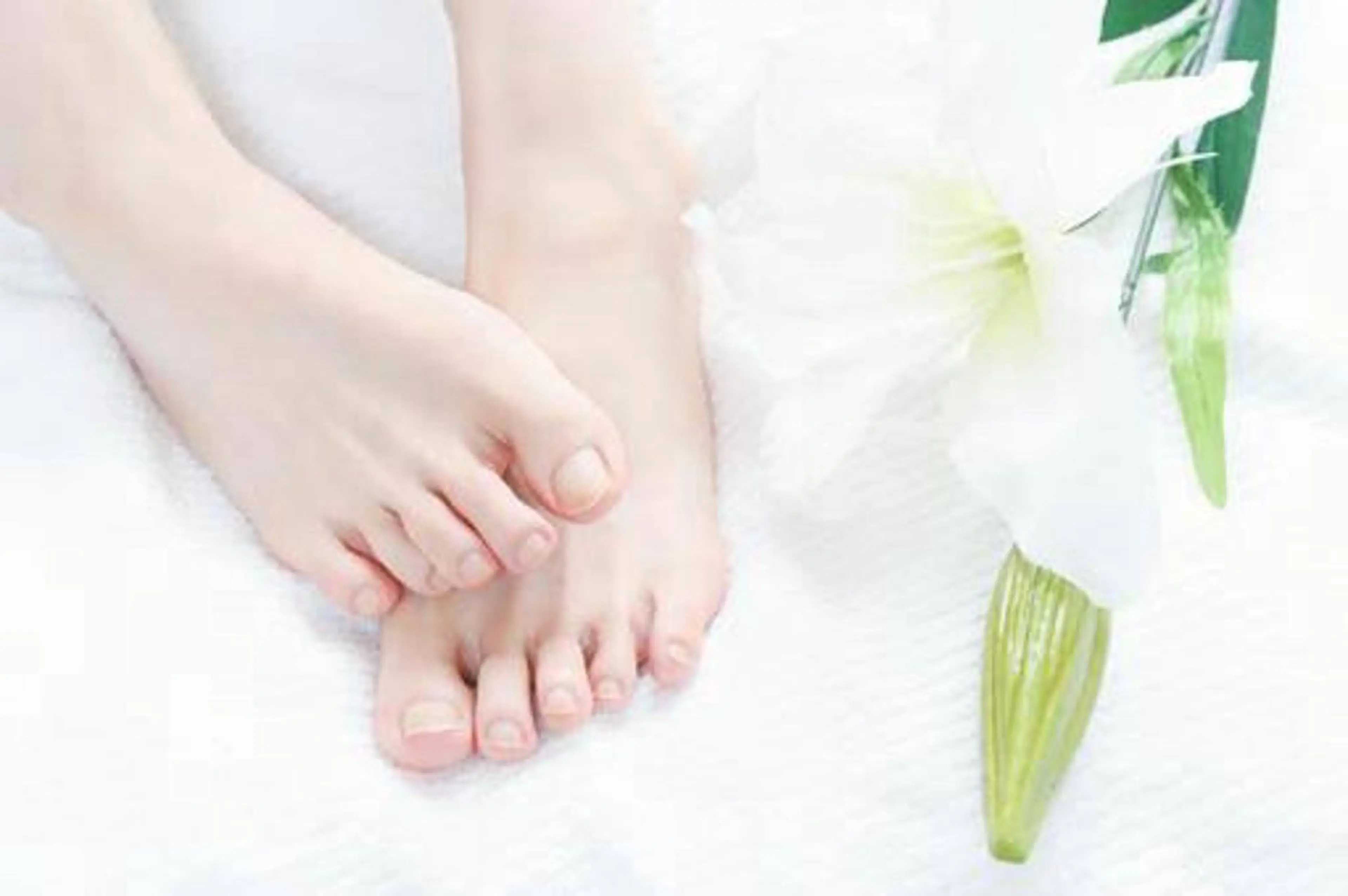 爪切り【全指】¥3,300の写真