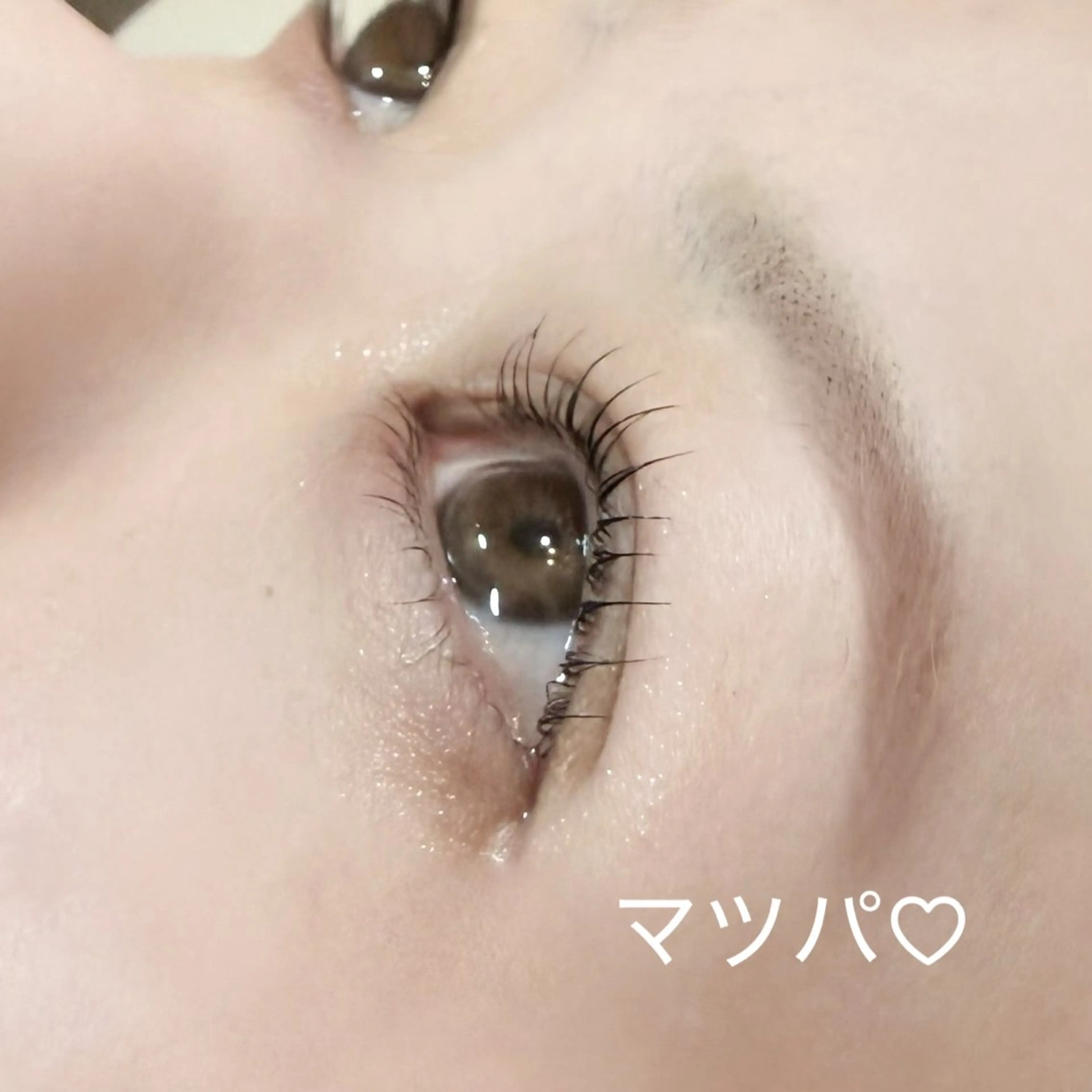 マツエク・マツパ マツパ 🌷LOARK eyelash.梶川のマツエク・マツパデザイン