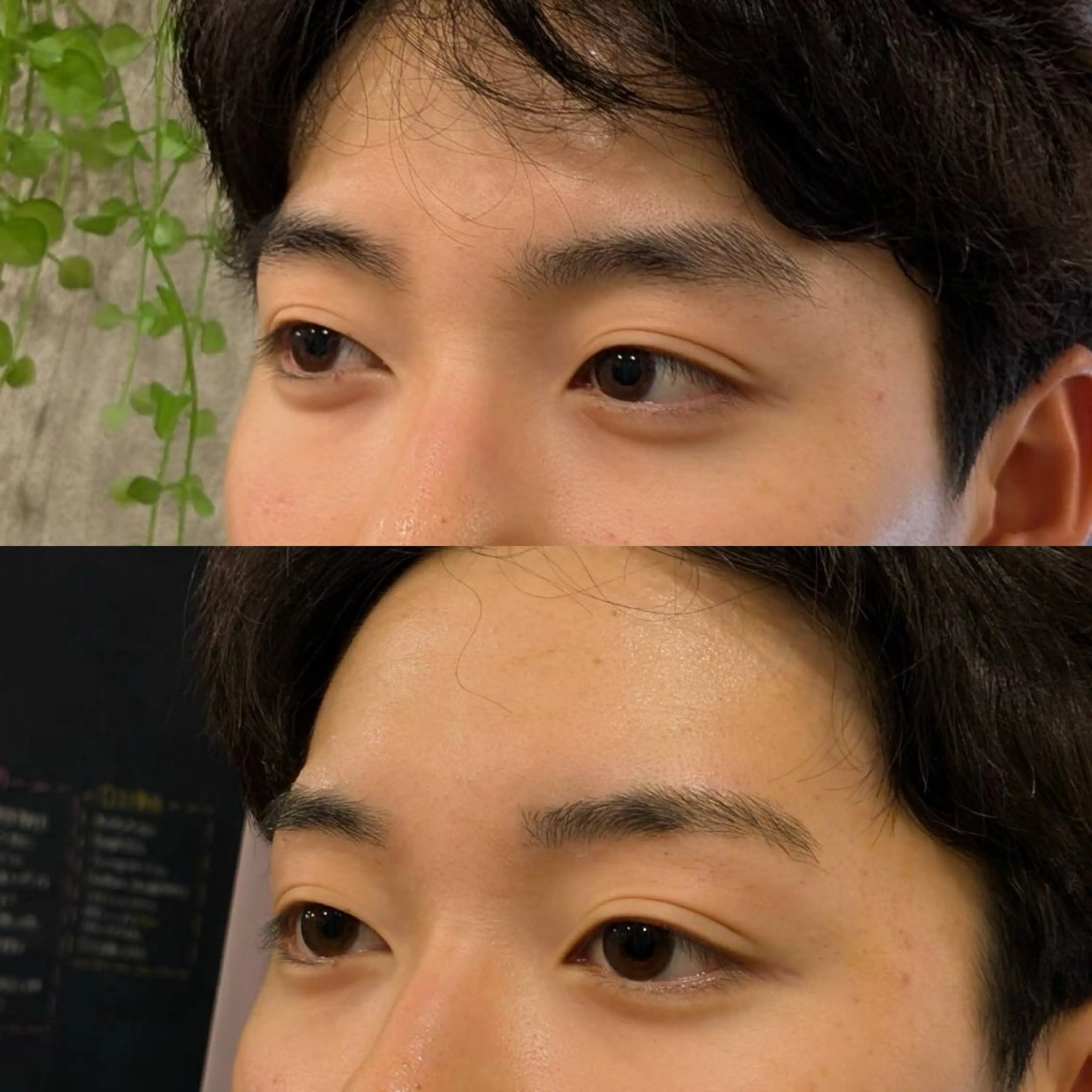 メンズ アイブロウ ワックス脱毛 【ANEMONA】 NIHOのマツエク・マツパデザイン