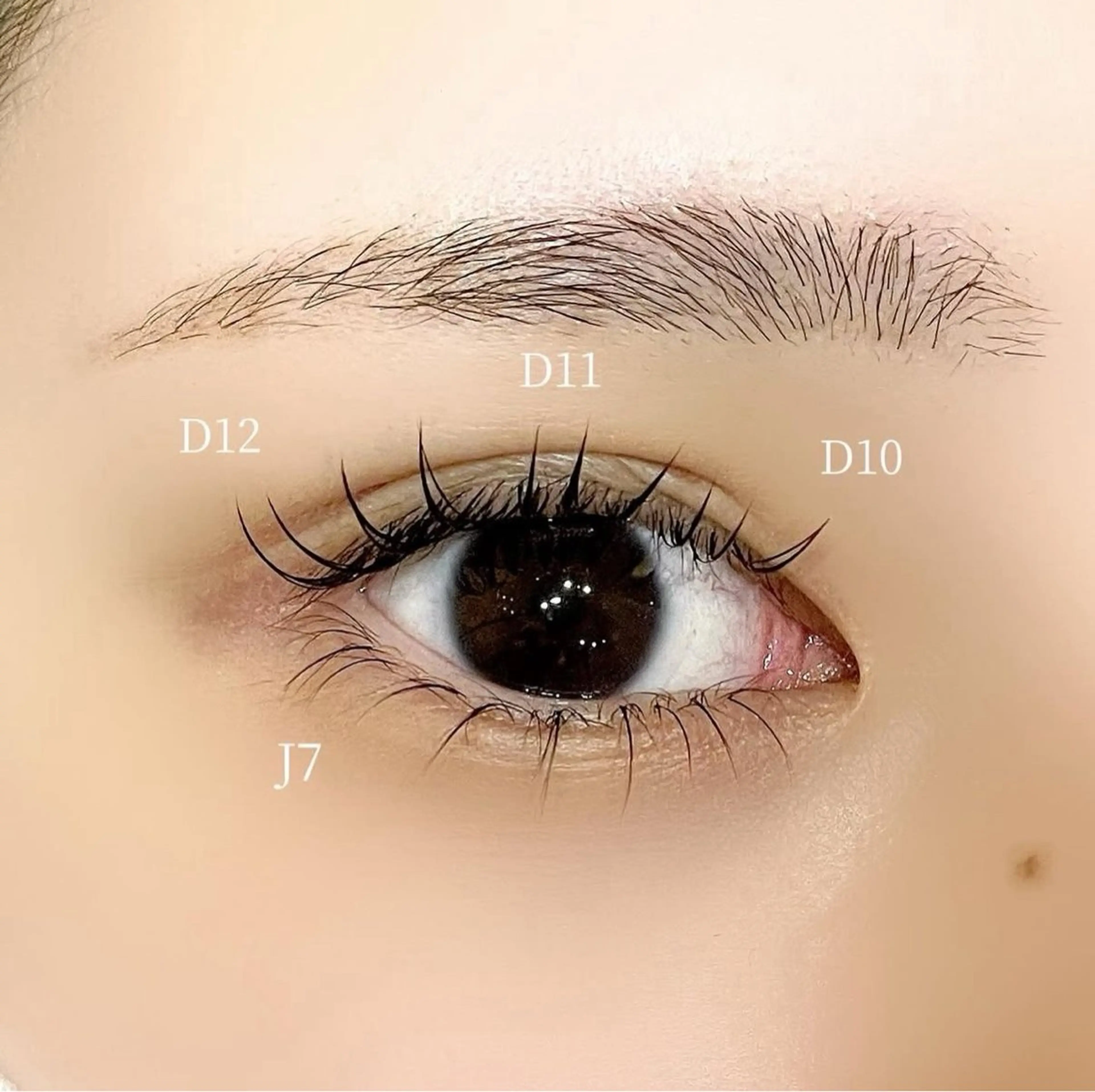 👀🤍下エクステ20本（オフなし）の写真