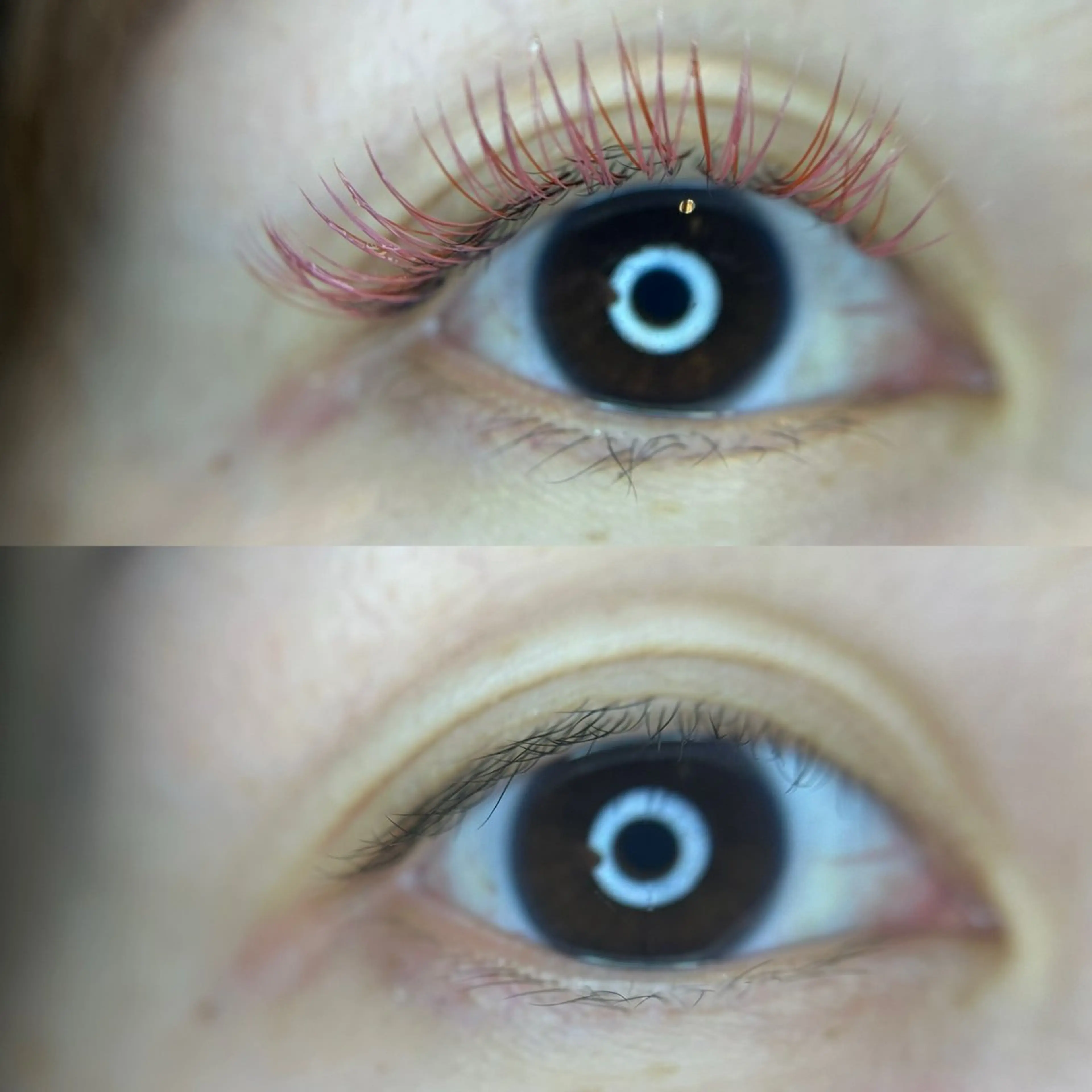 ★大人気メニュー★ フラットラッシュ 付け放題　（オフ・アイシャンプー込み）の写真