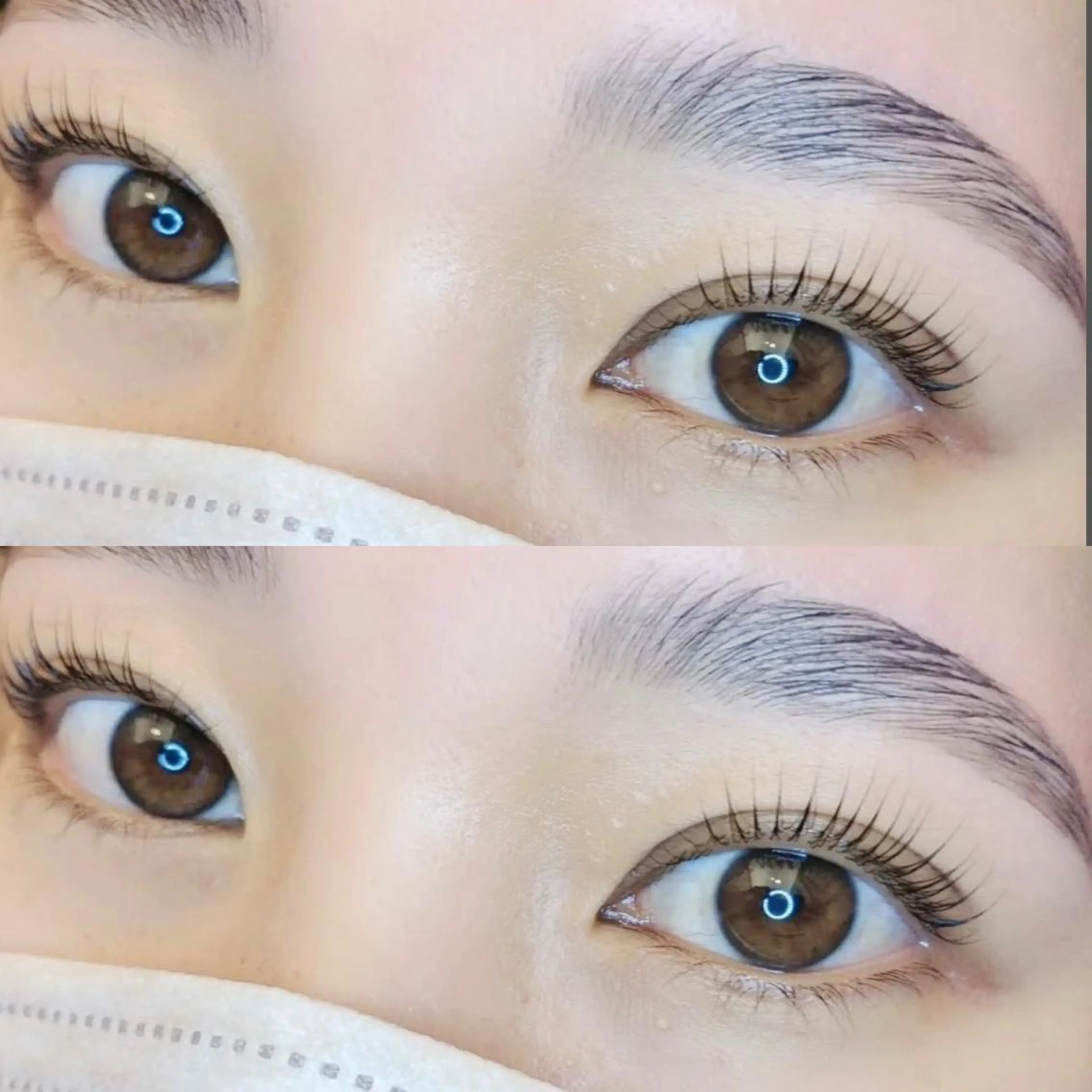 同時施術🌈ハリウッドブロウリフト➕パリジェンヌラッシュリフトorケラチンラッシュリフト❤️‍🔥の写真