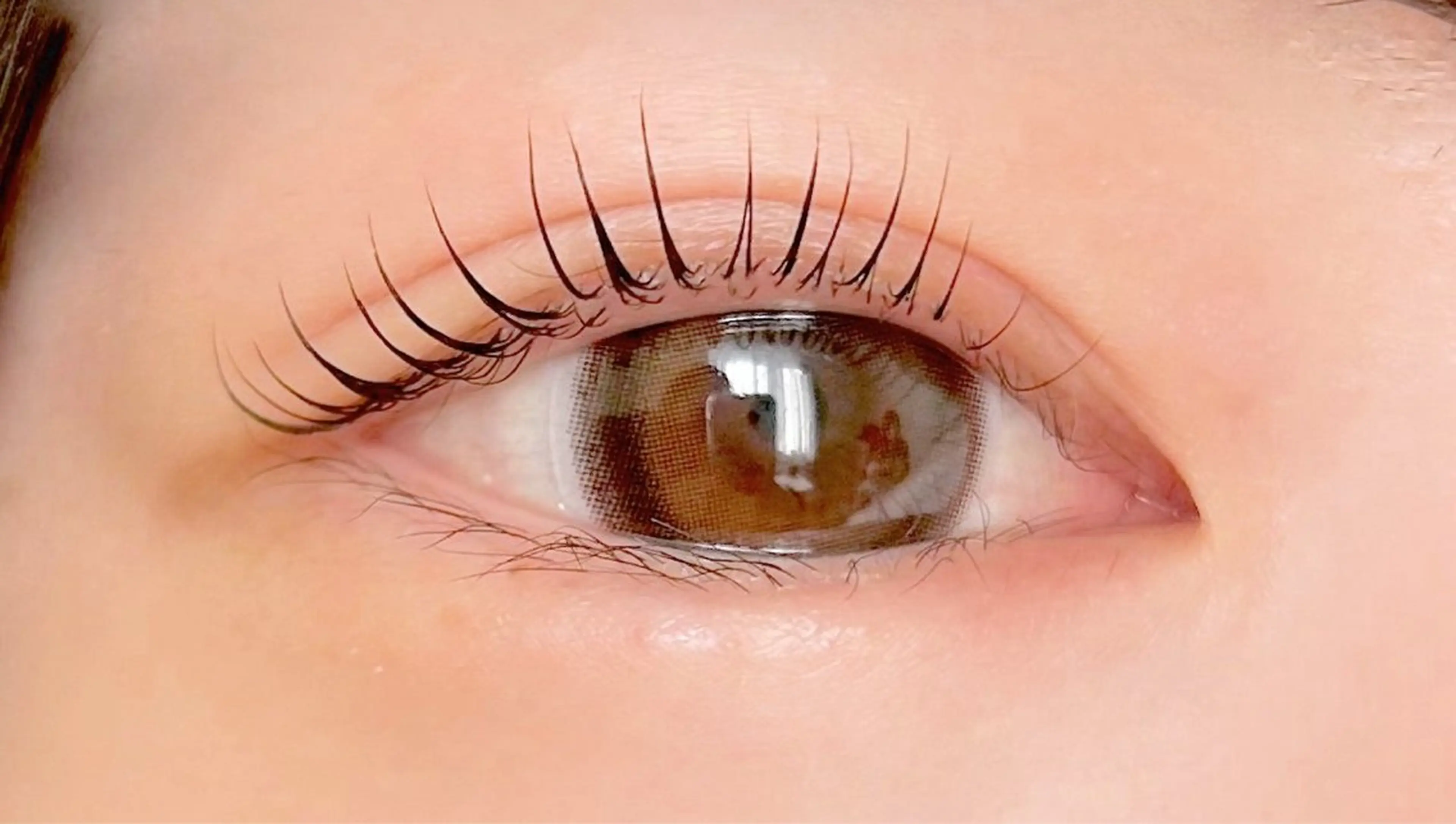 マツエク・マツパ aya 🫧の眉毛・アイブロウイメージ