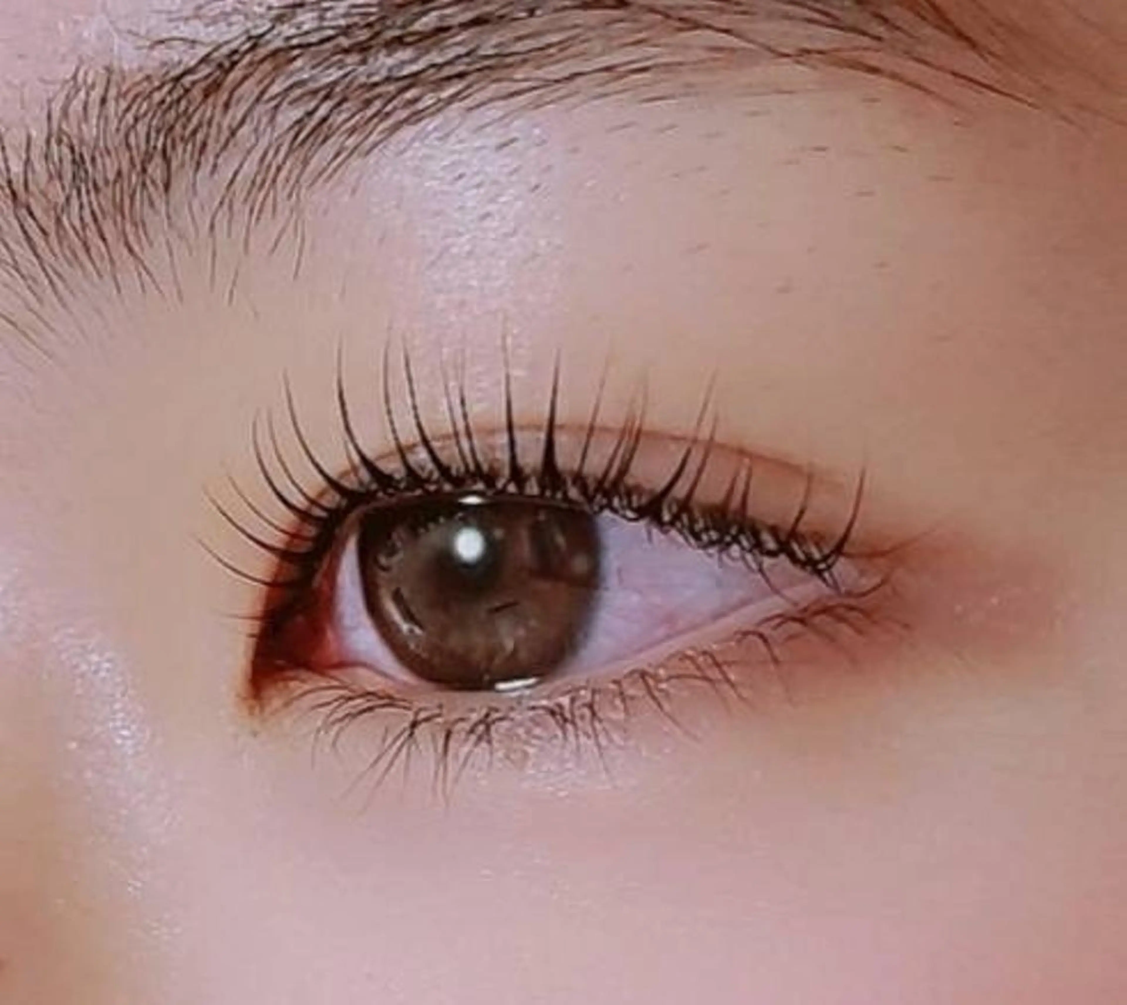 🌻次世代まつげパーマ🌻ご新規様価格🎀ブラシプレゼントの写真