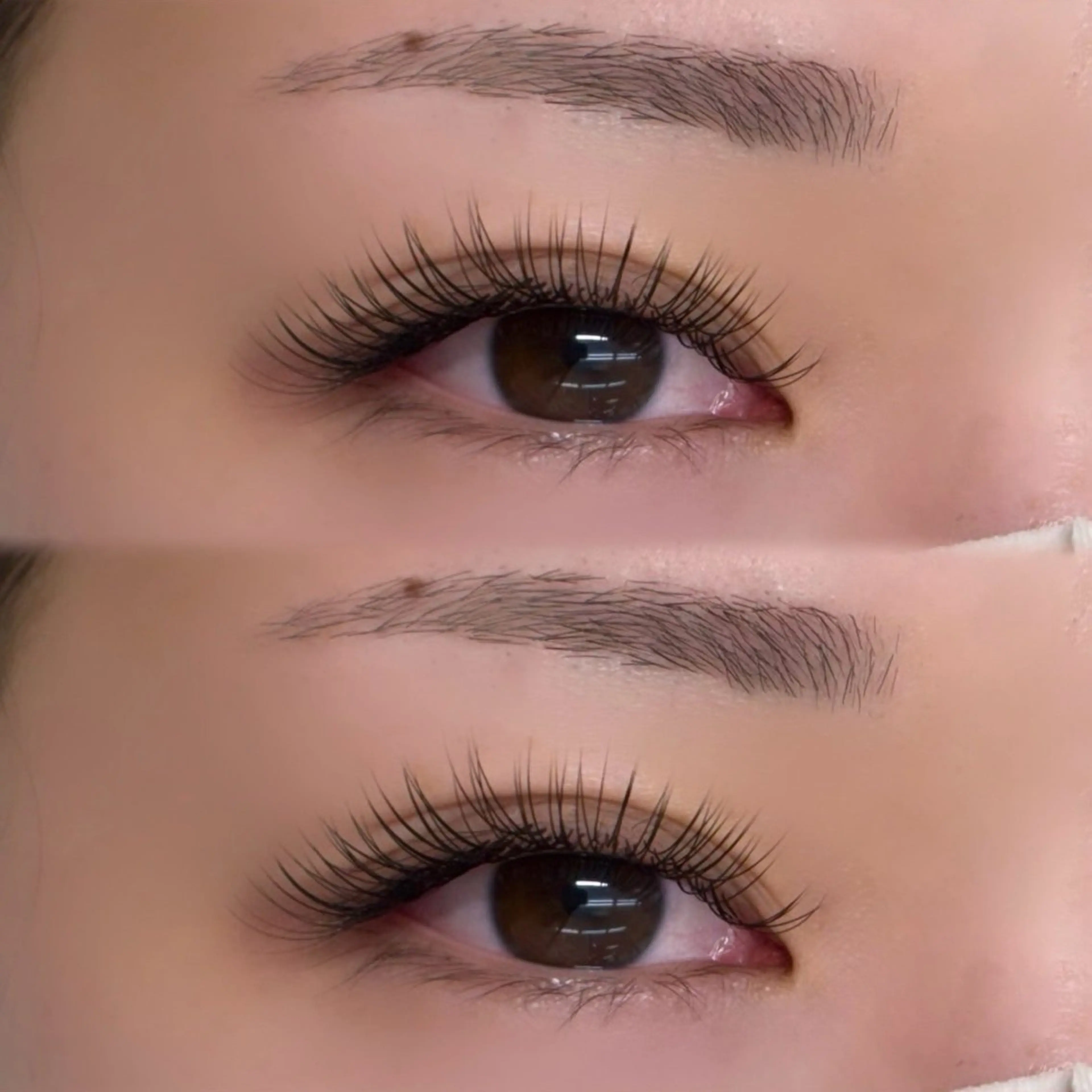 フラット付け放題の写真