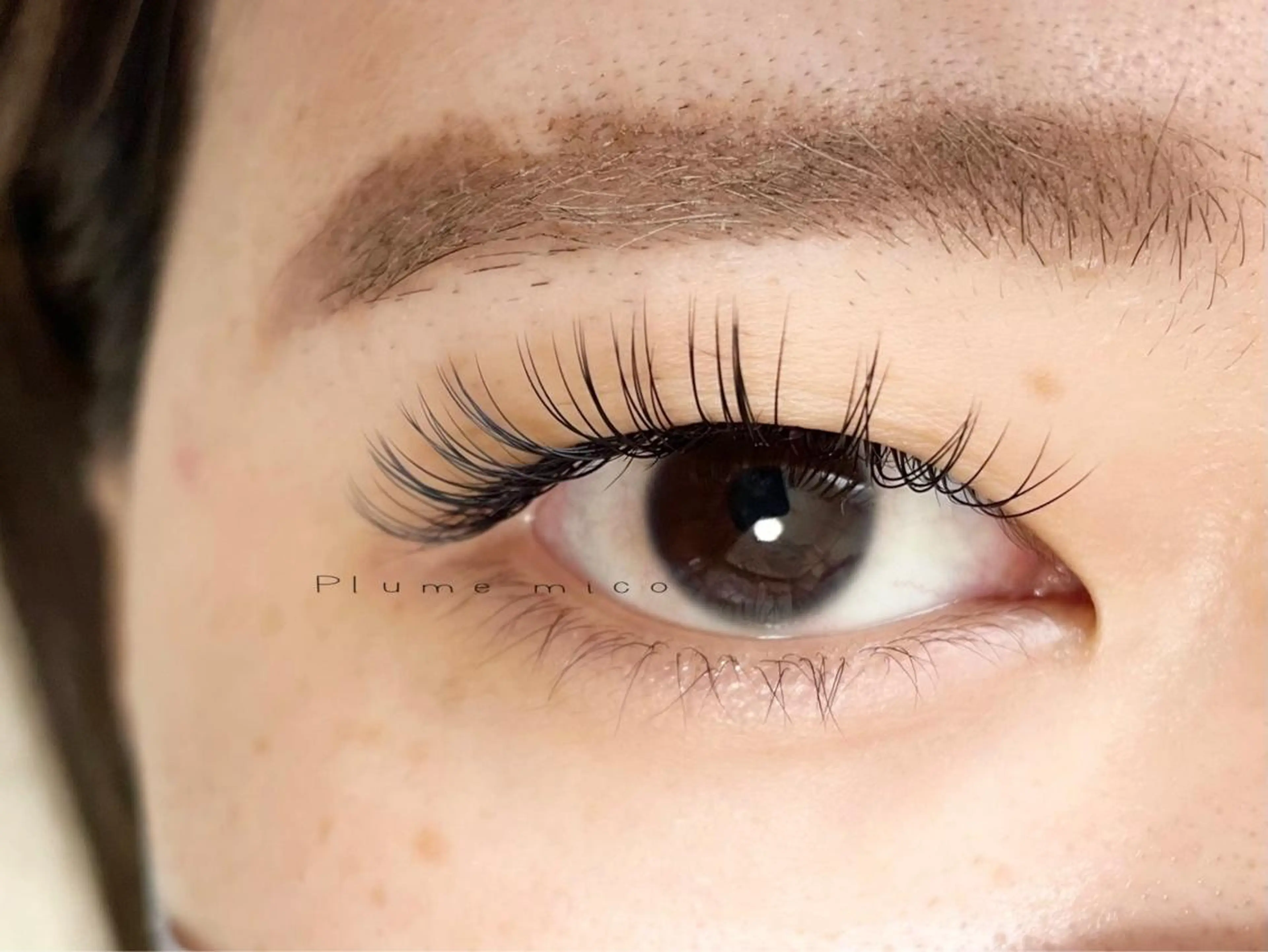 マツエク・マツパ マツエク Plume micoのマツエク・マツパデザイン