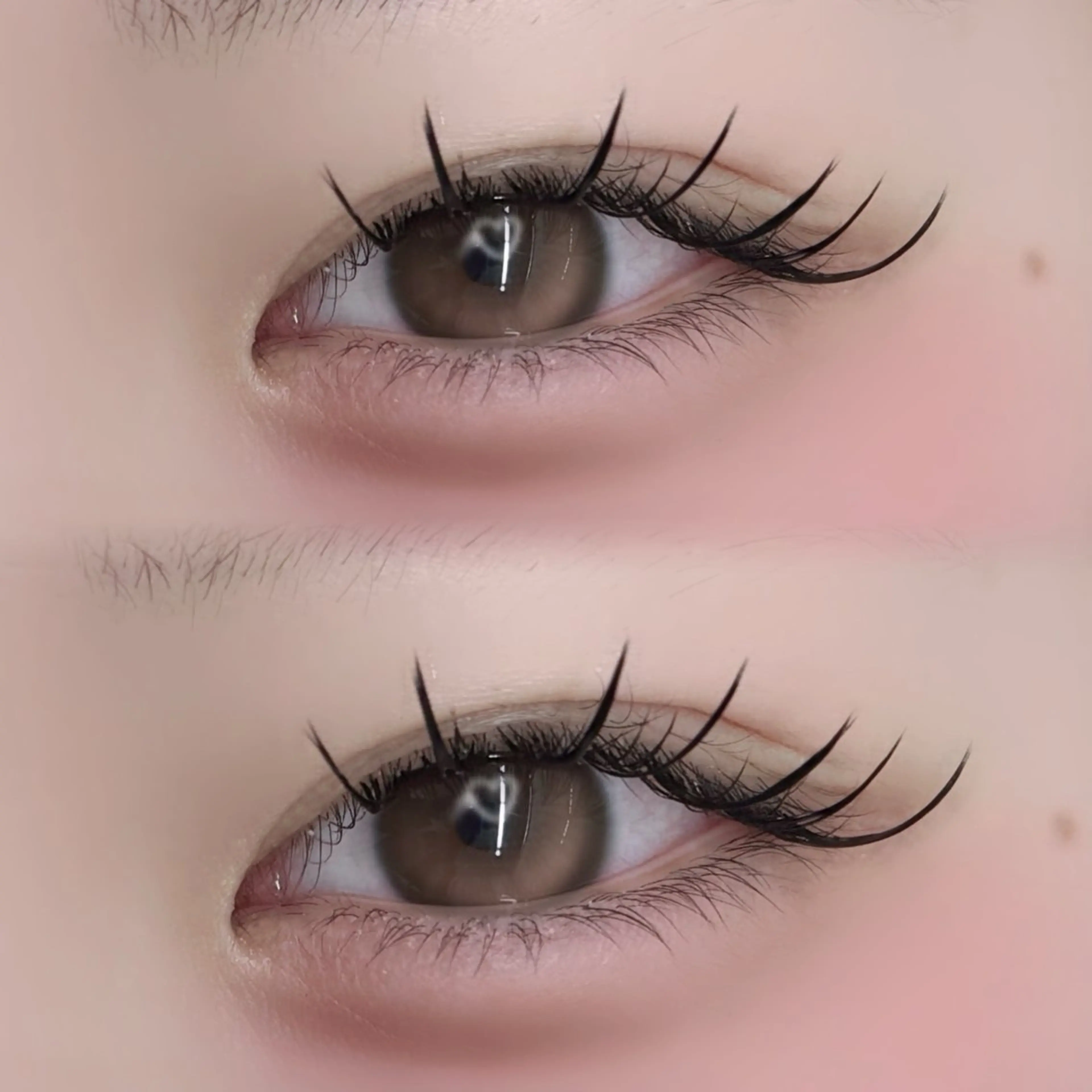 マツエク・マツパ tomteトムテ junmiのマツエク・マツパデザイン