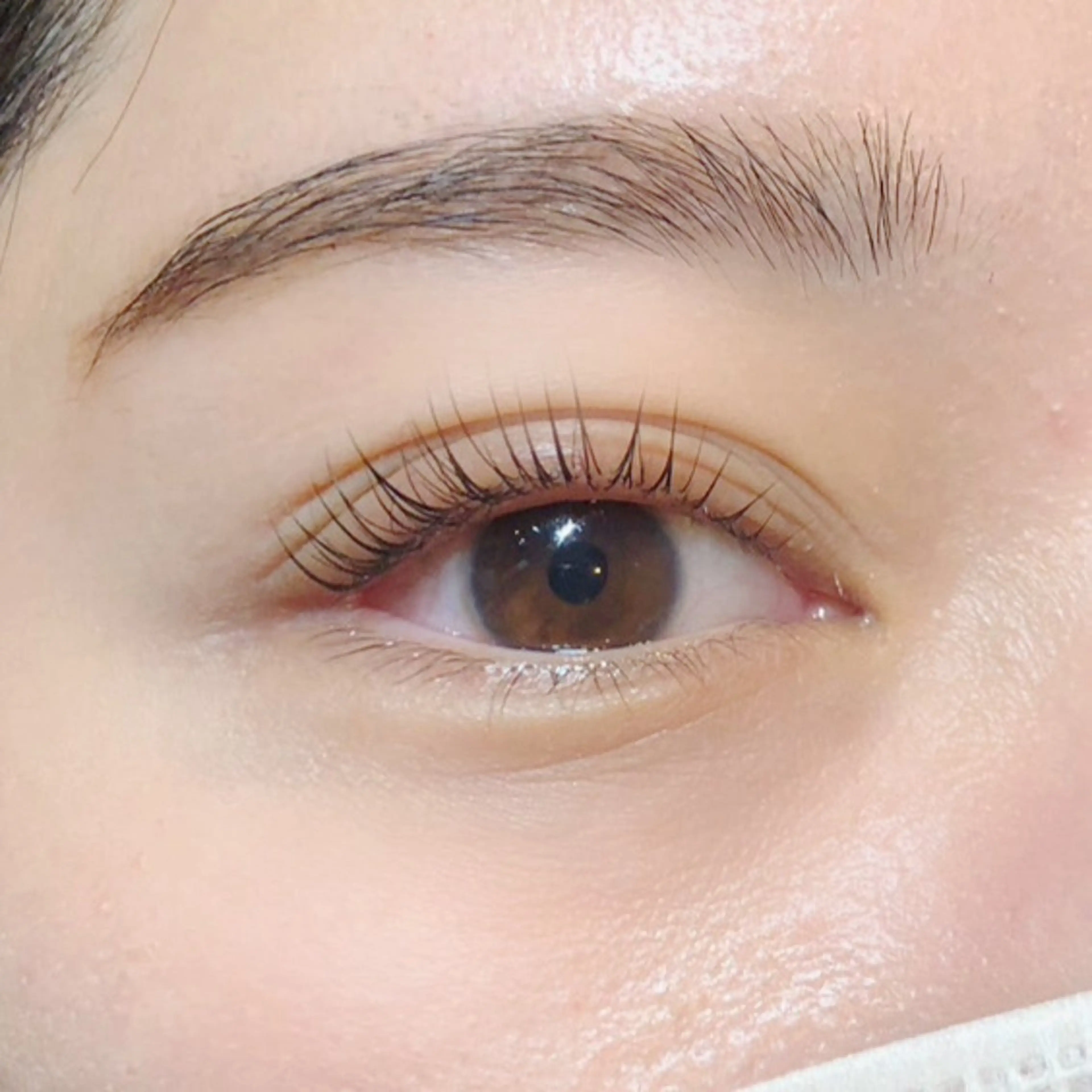 マツエク・マツパ つじもとなみ ALPINA阪神西宮のマツエク・マツパデザイン