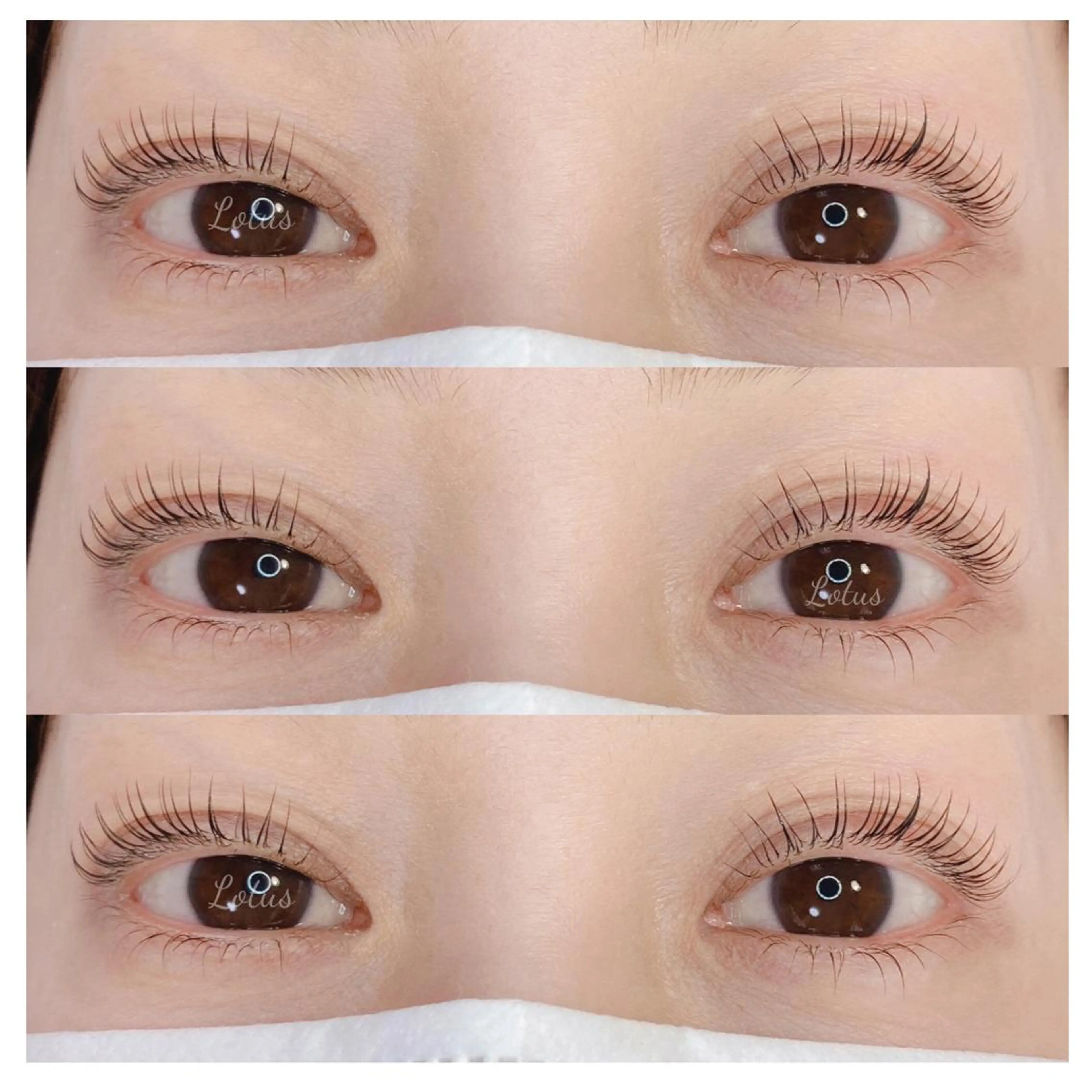 マツエク・マツパ マツパ Lotus ロータスのマツエク・マツパデザイン