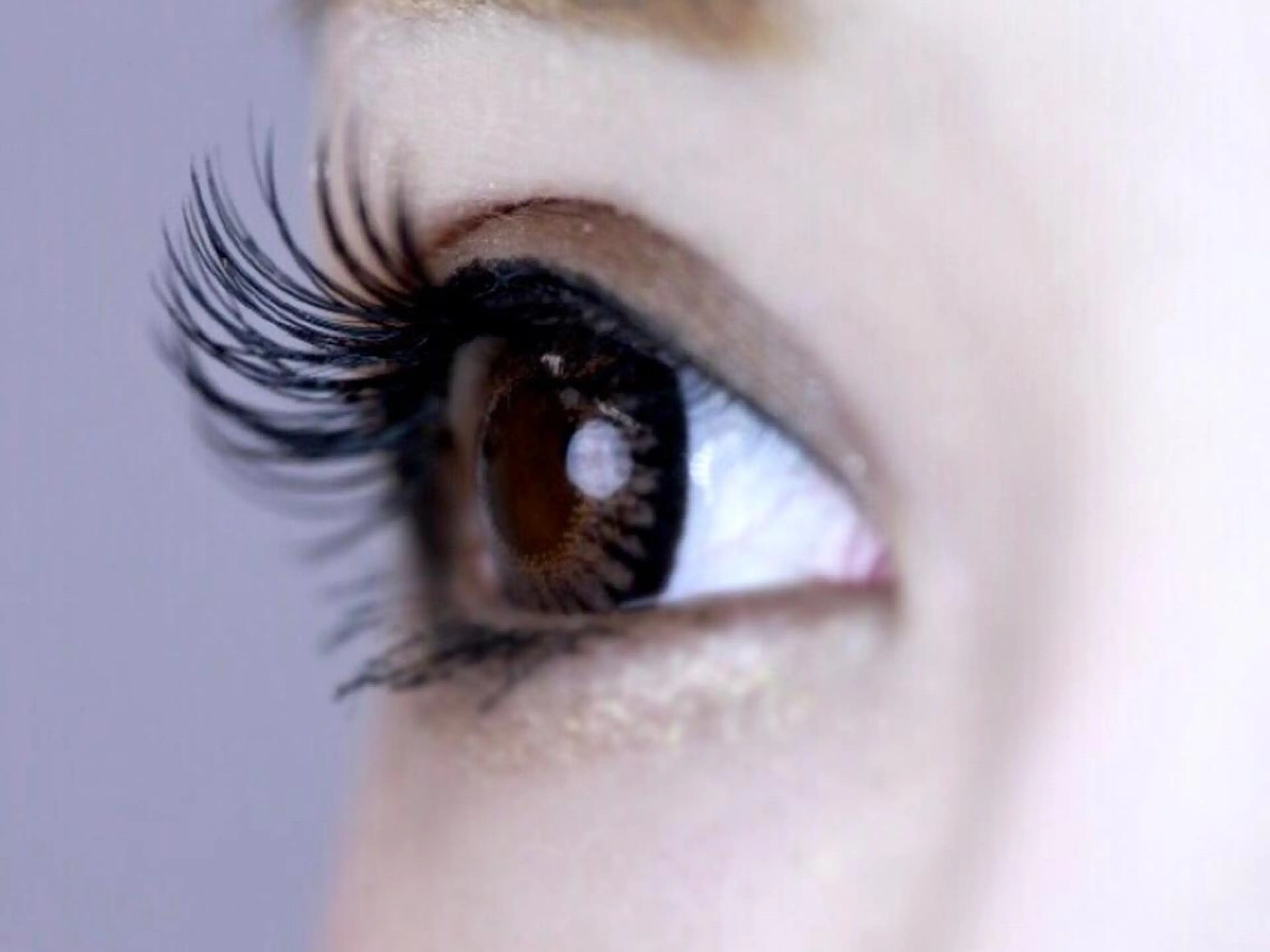 【初回】ふわふわボリュームラッシュ♡240本の写真