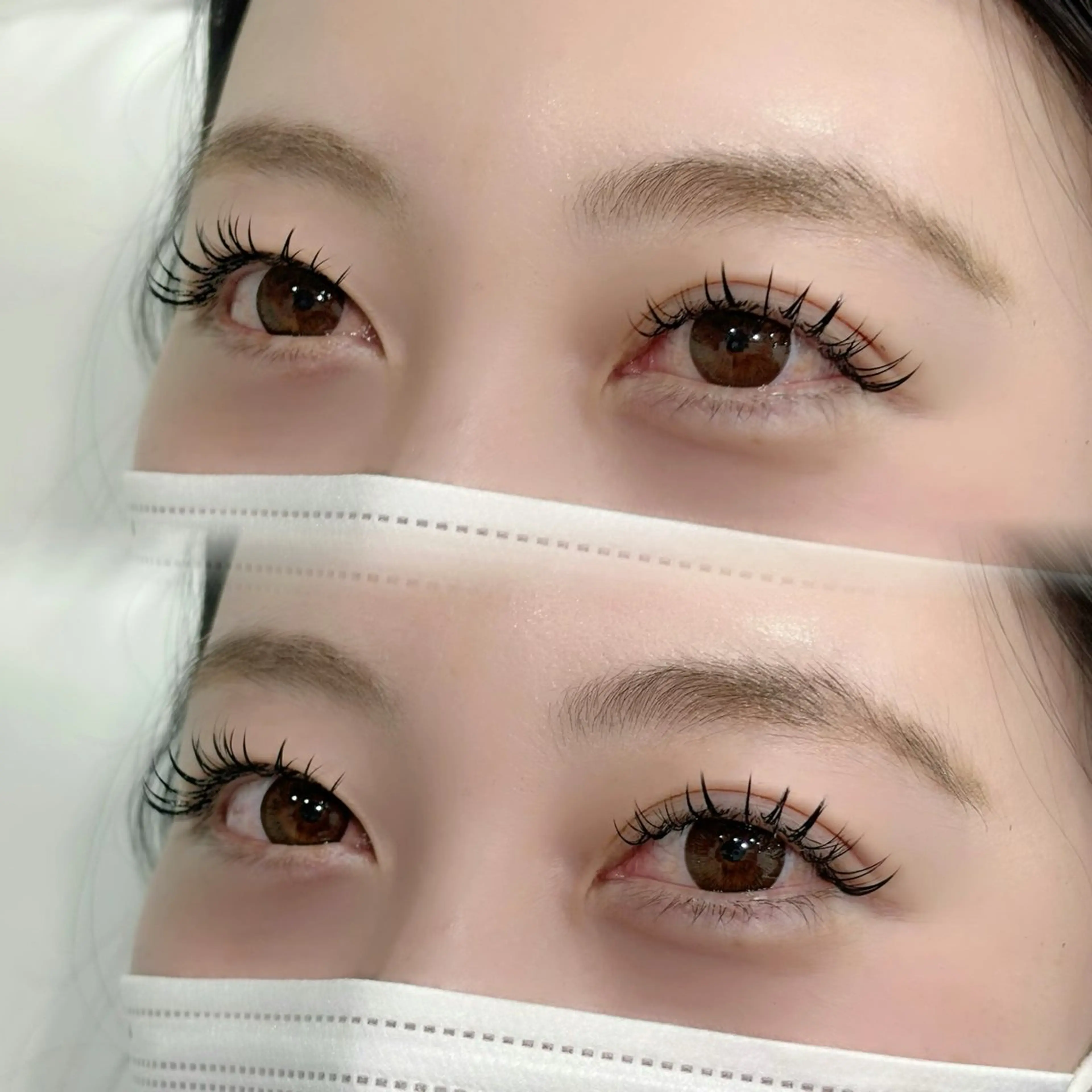 🦢ダブルフラットorバインドロック100束の写真