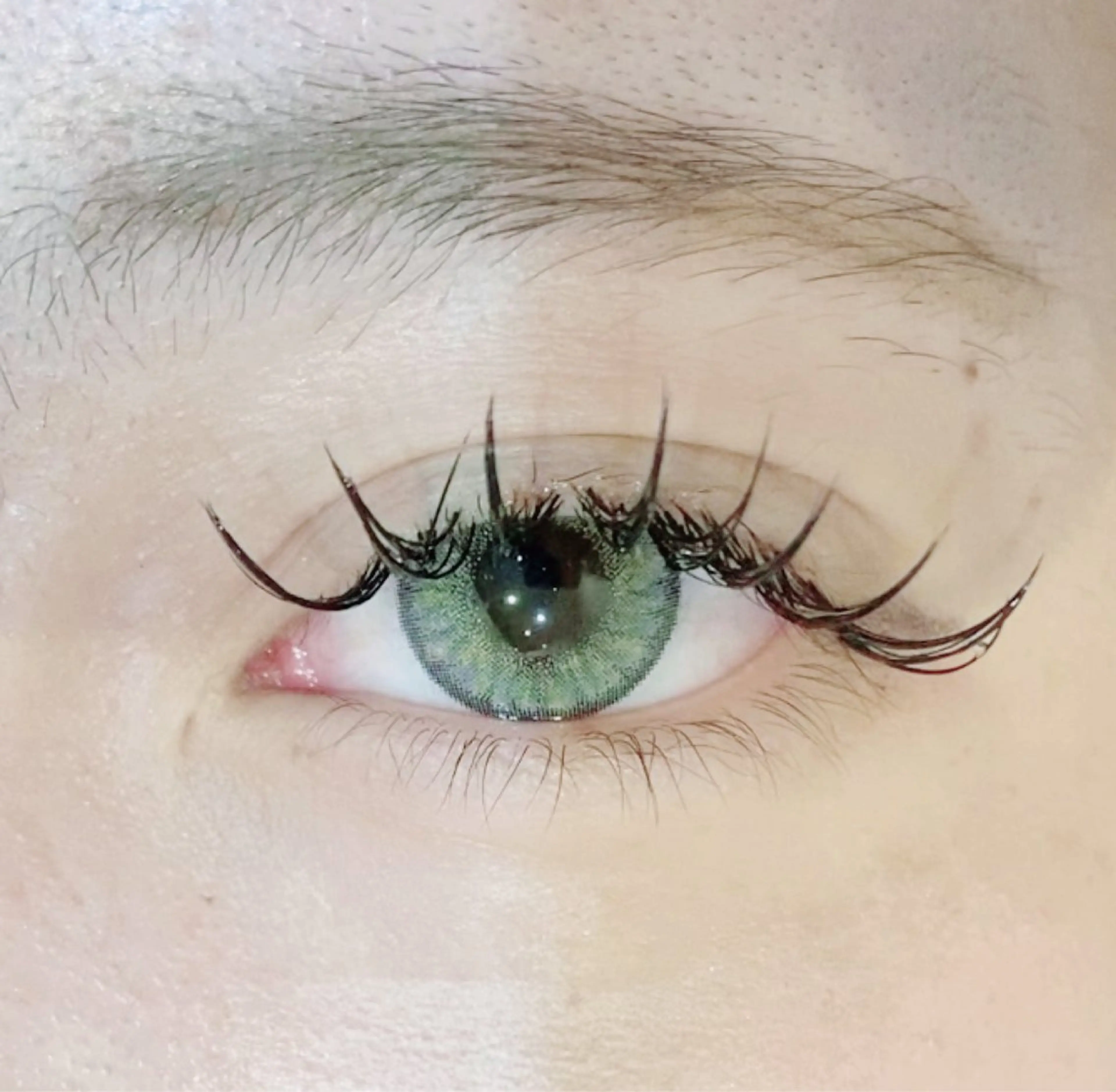 モデル募集🎀フラットラッシュ120本🎀2時間【注意事項確認必須】の写真