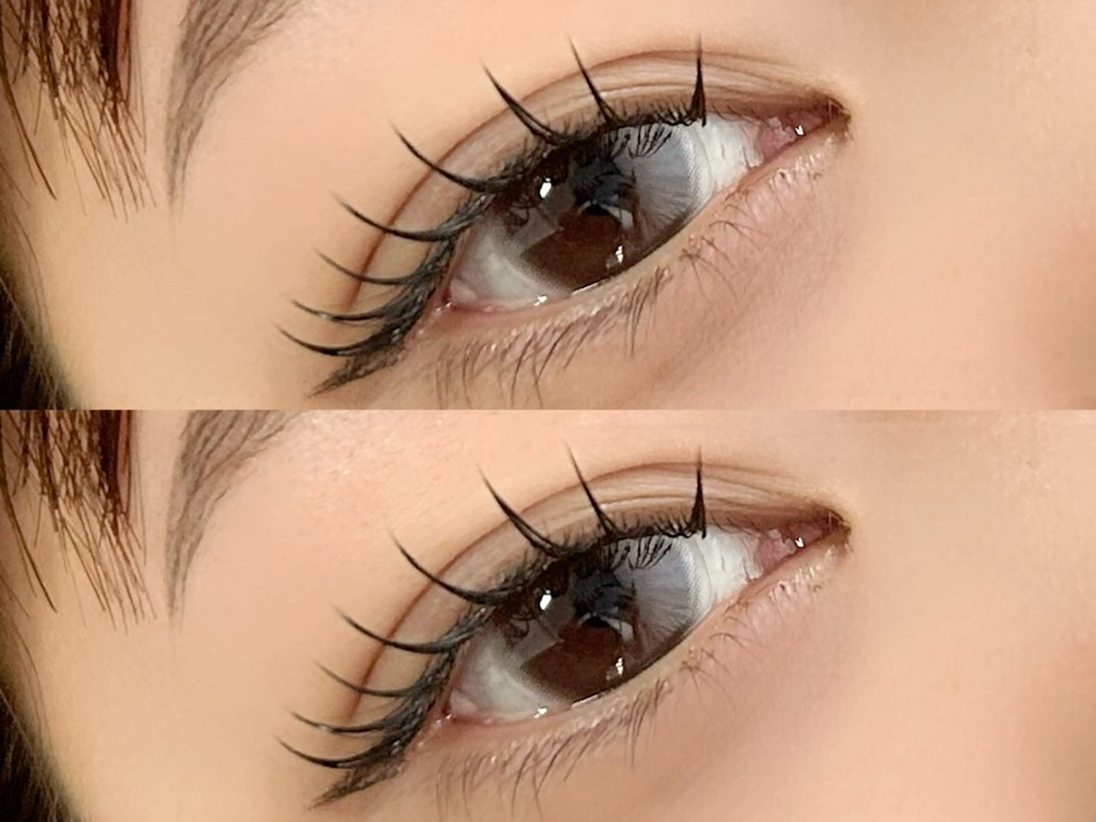 マツエク・マツパ マツエク peTiT京橋店🌷 yuiのマツエク・マツパデザイン