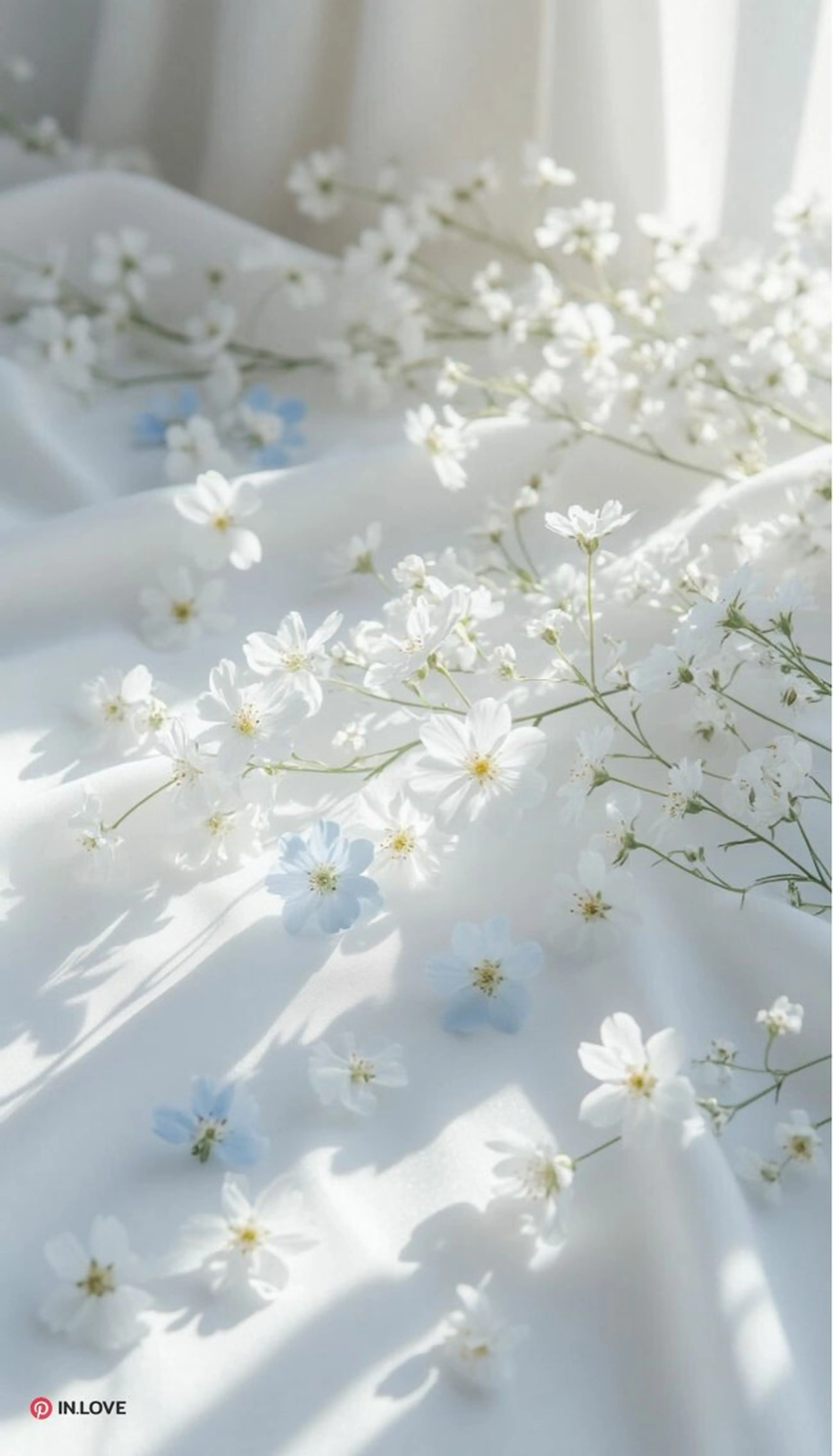 マツエク・マツパ B☆star ひらり🩵のマツエク・マツパデザイン