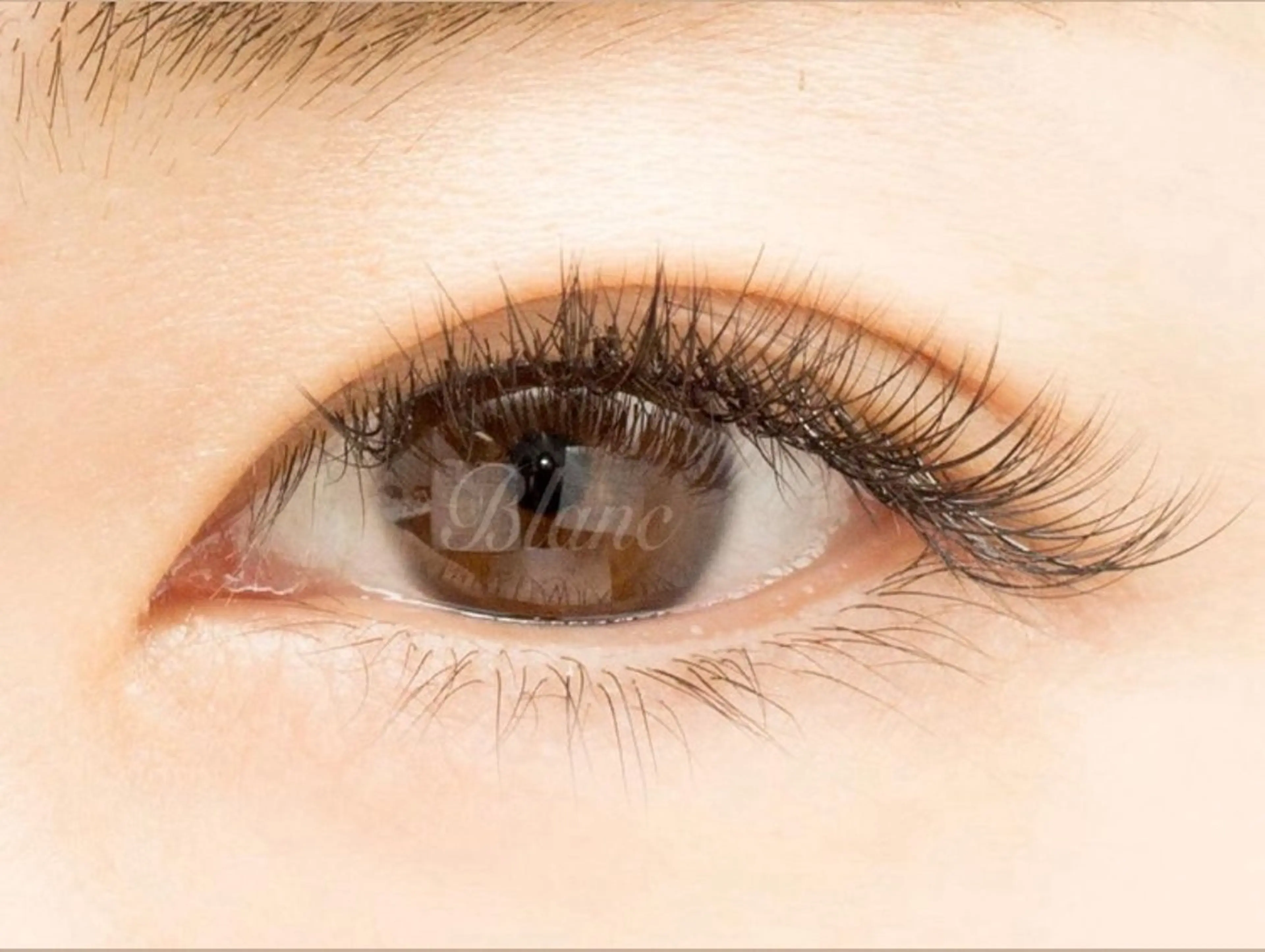 無料🤍シングルマツエク100本👀✨下まつげ20本の写真