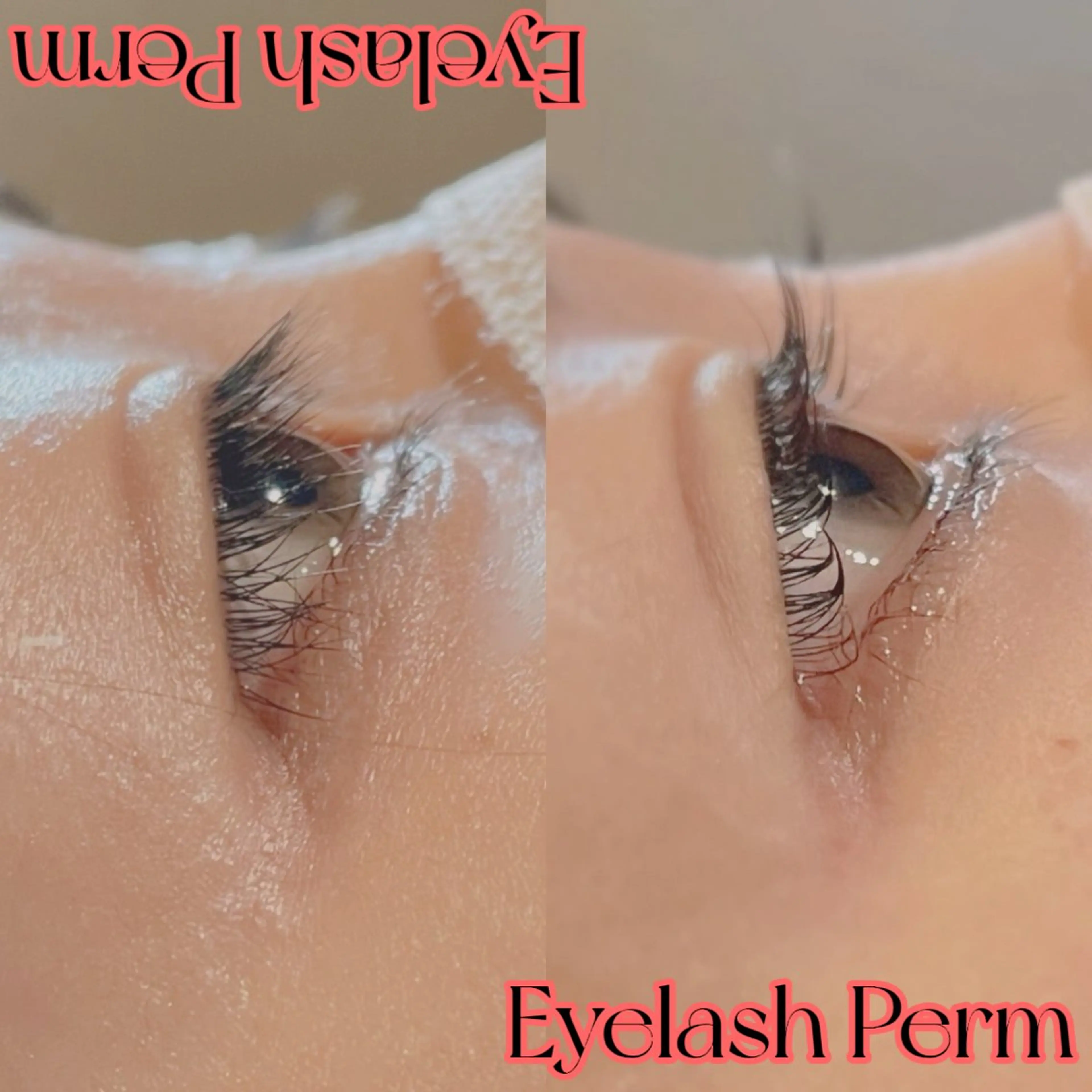 ✨️タイムセール✨️5名様限定!まつ毛パーマ👀の写真