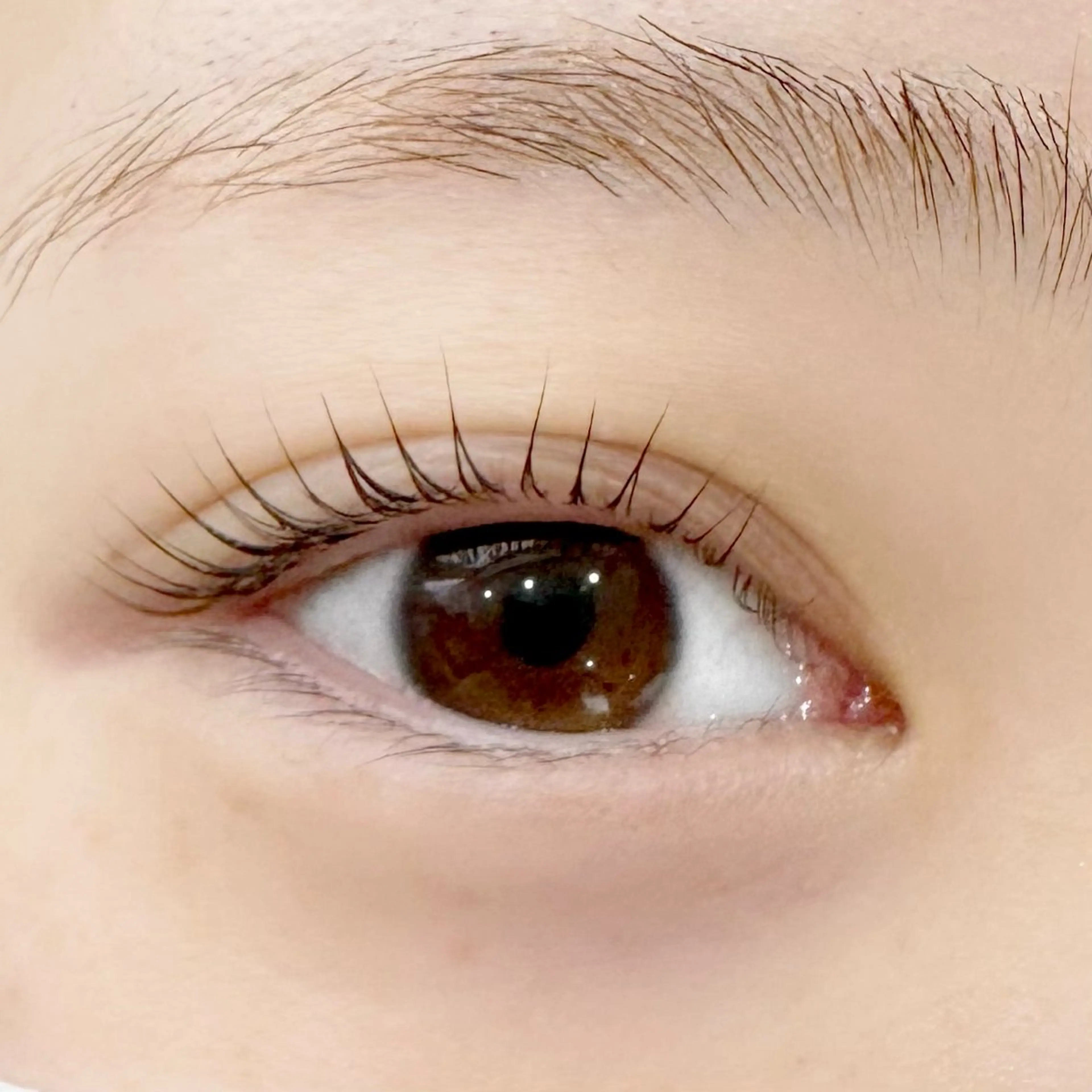 マツエク・マツパ 一重×まつ毛パーマ サロン ド フォース 西船橋店/伊藤のマツエク・マツパデザイン