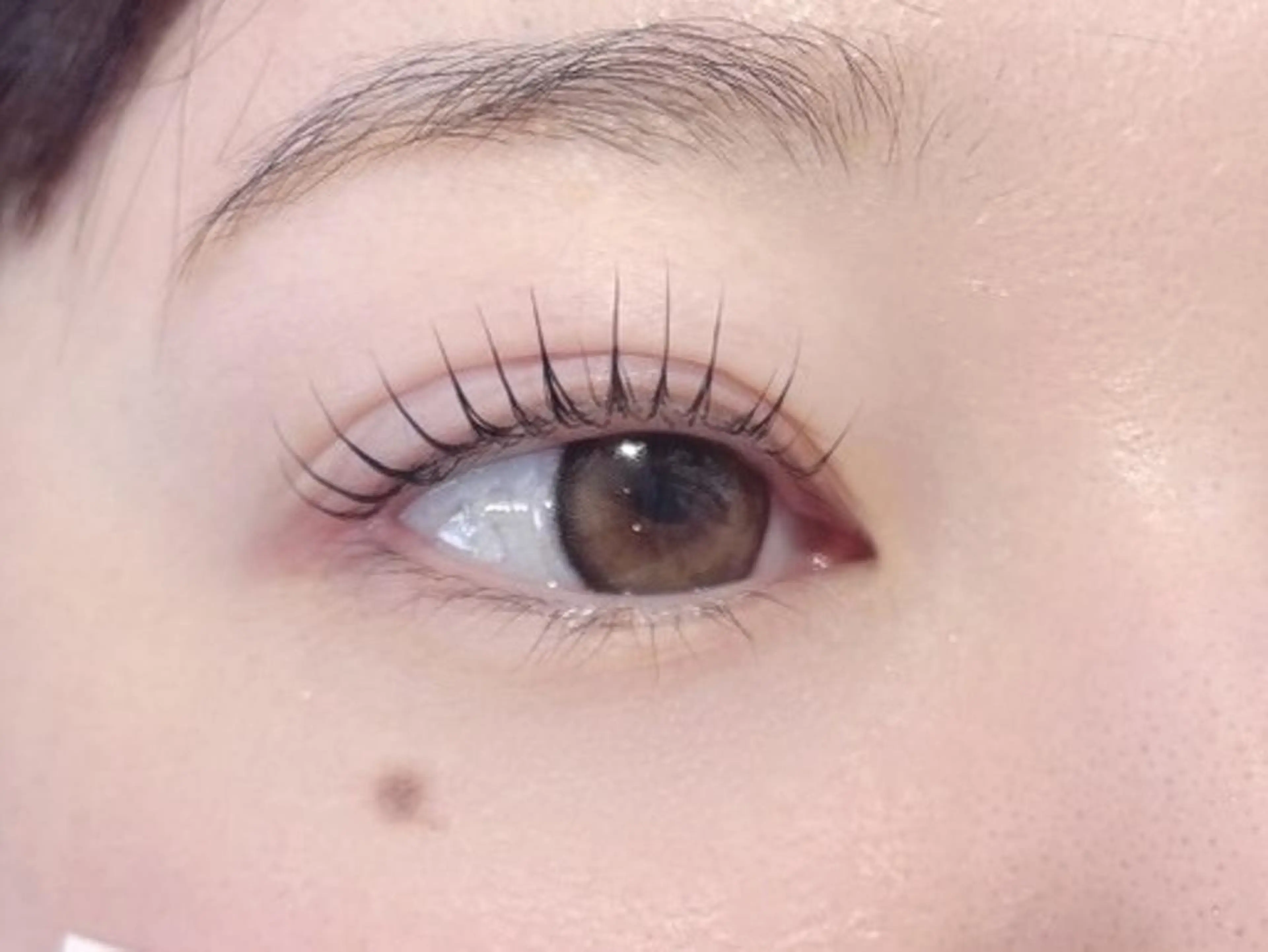 マツエク・マツパ 🎀韓国風 パリエク特化🎀りほのマツエク・マツパデザイン