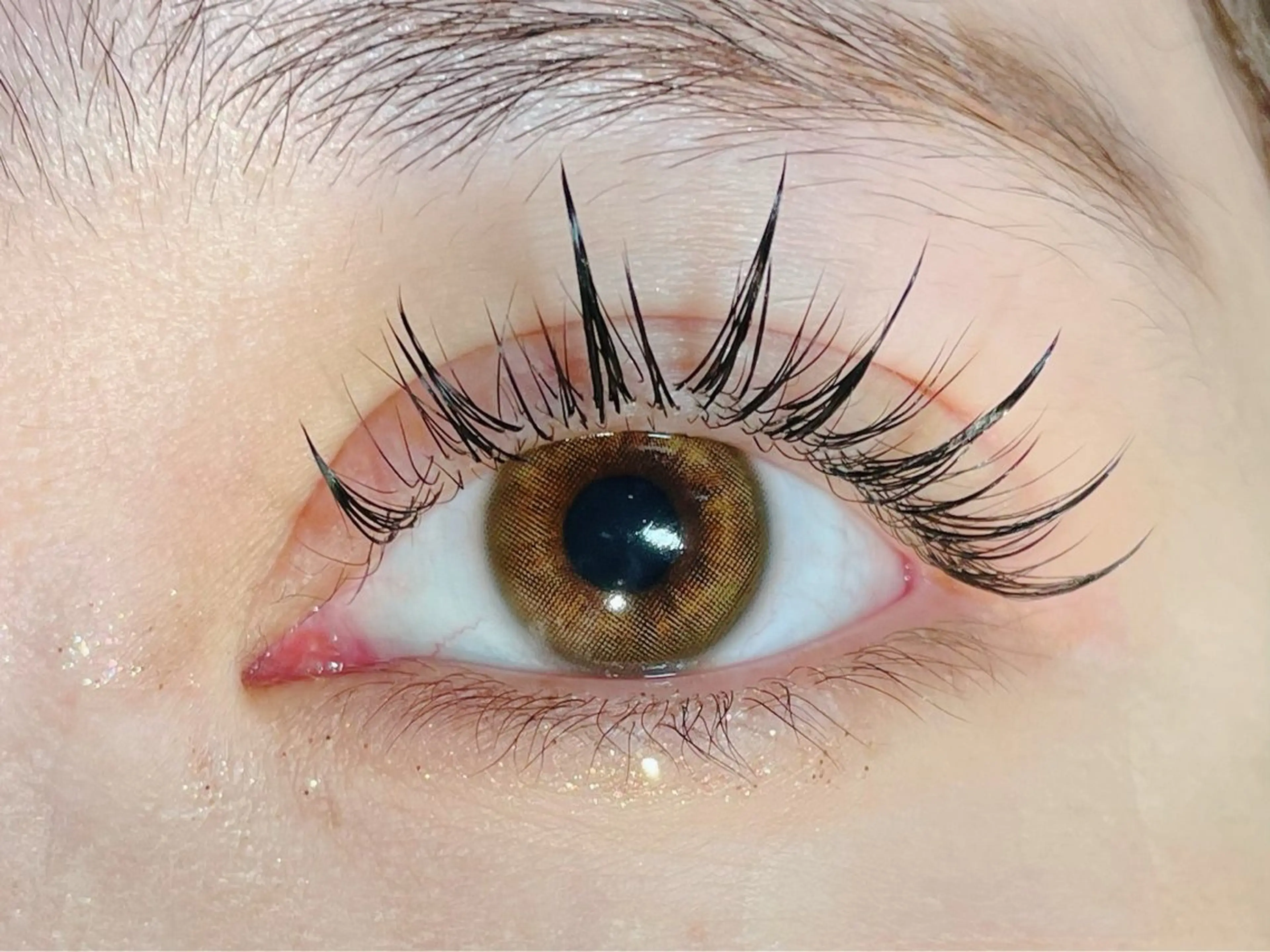 💎ワンホンデザイン7000円(シングルエクステのみ)120本​〜​140本➕上下エクステ9500円(下40本)の写真