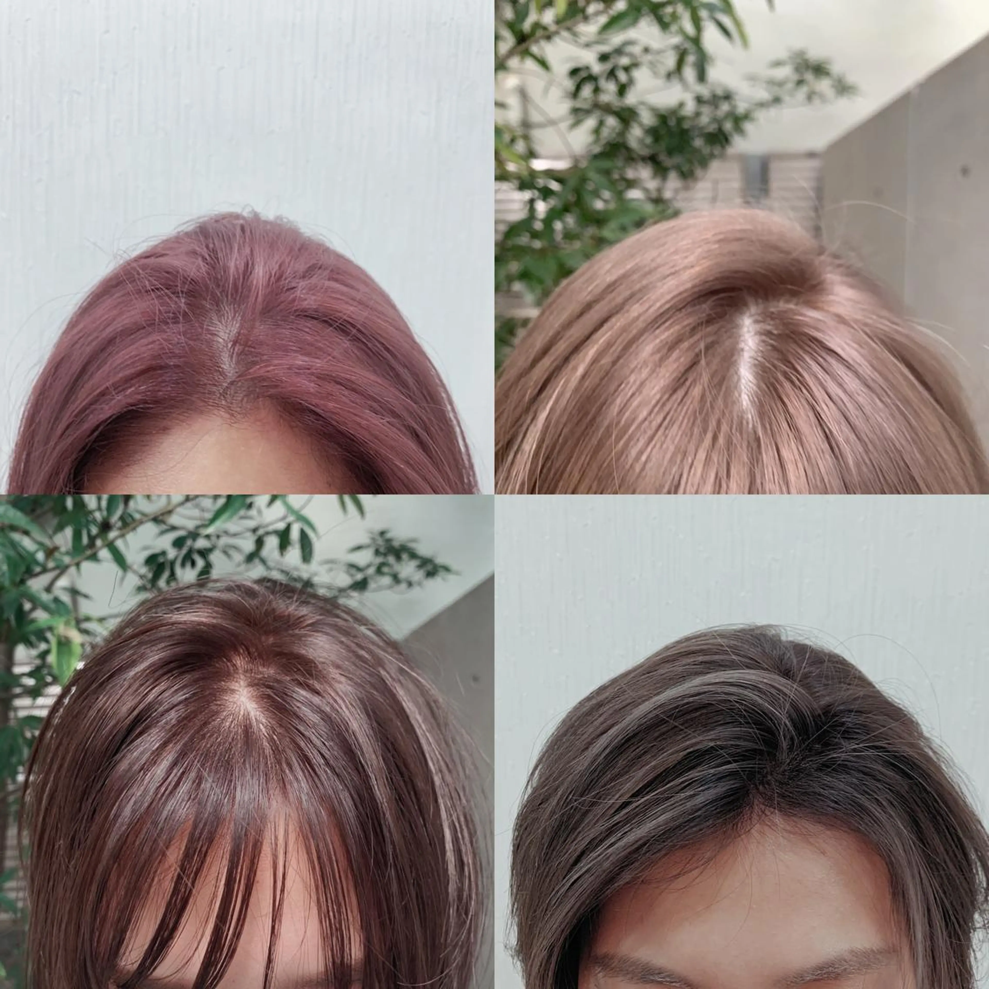 カラー レイヤーカットモデル 募集/藤原一真のヘアスタイル