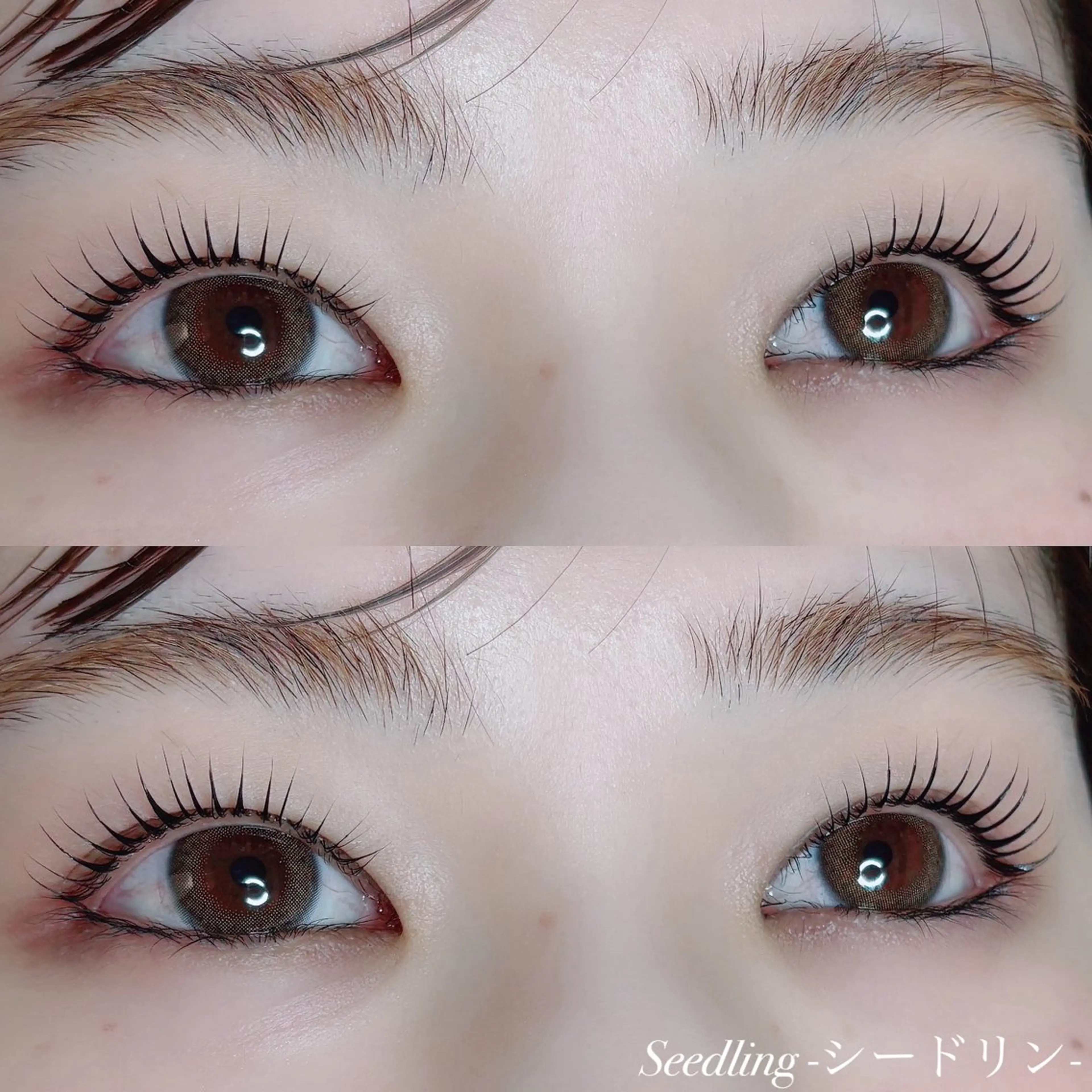 マツエク・マツパ シードリン 府内店 小野梨央のマツエク・マツパデザイン