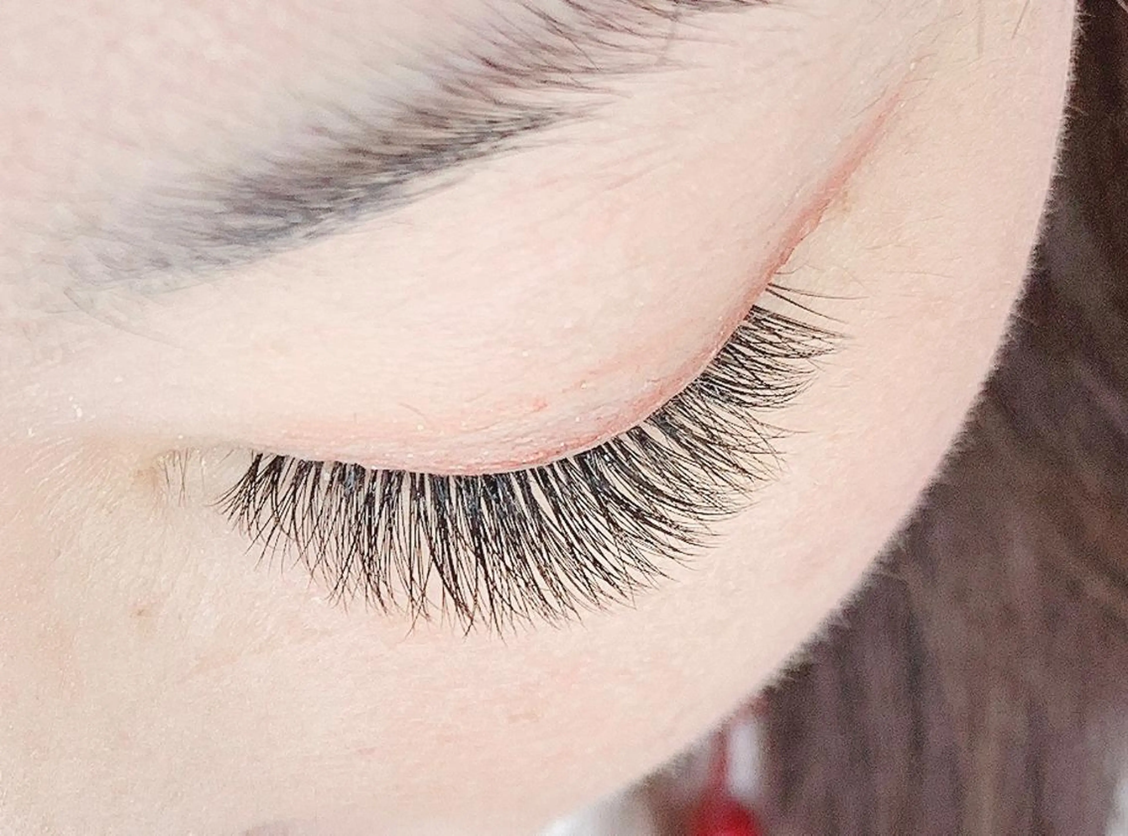 ♡ 3Dボリュームラッシュ 100束 (300​〜​400本) ♡の写真