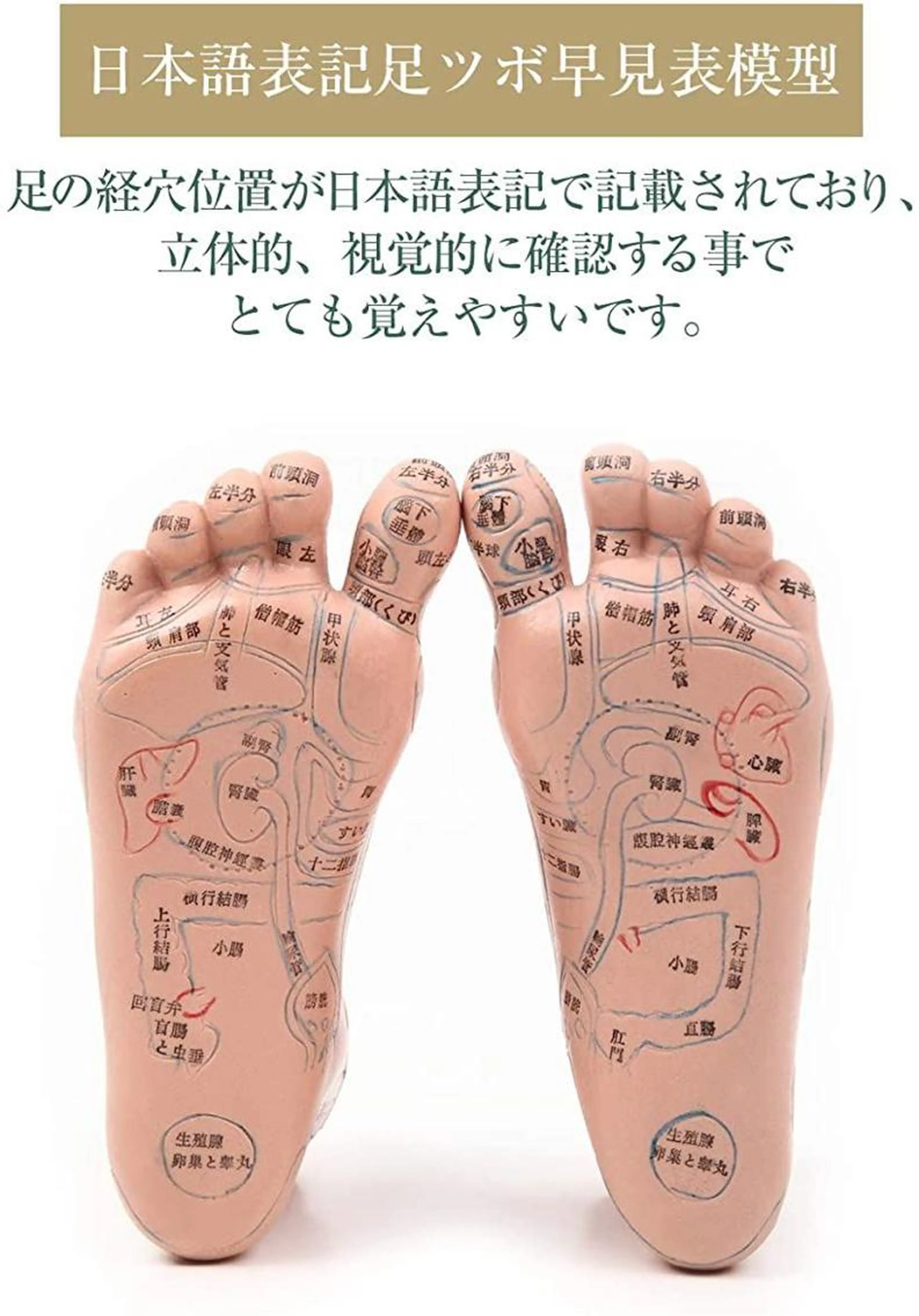 足裏30分+15分整体の写真