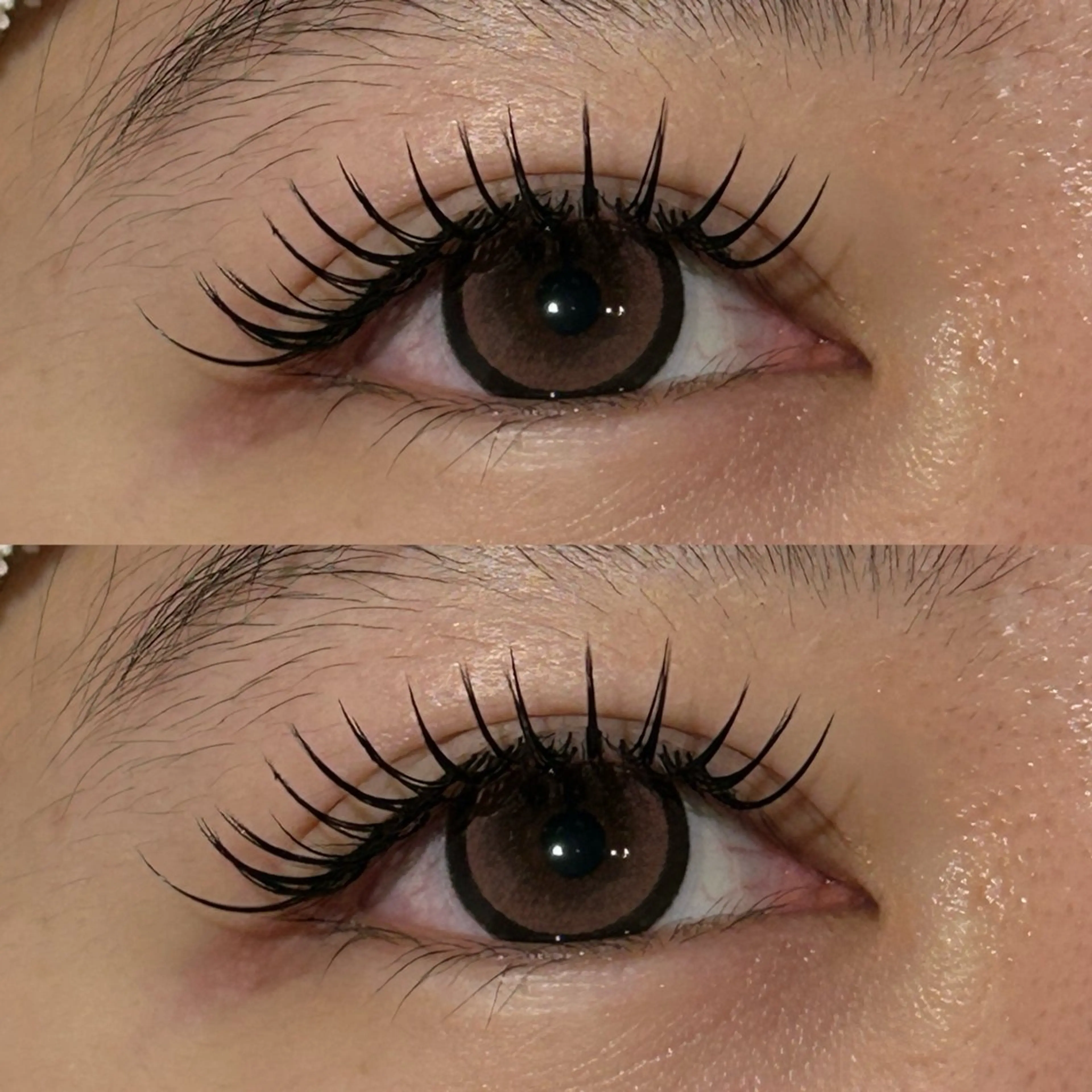 マツエク・マツパ マツエク 透明感ツヤカラー/ アイリスト/ゆきなのマツエク・マツパデザイン