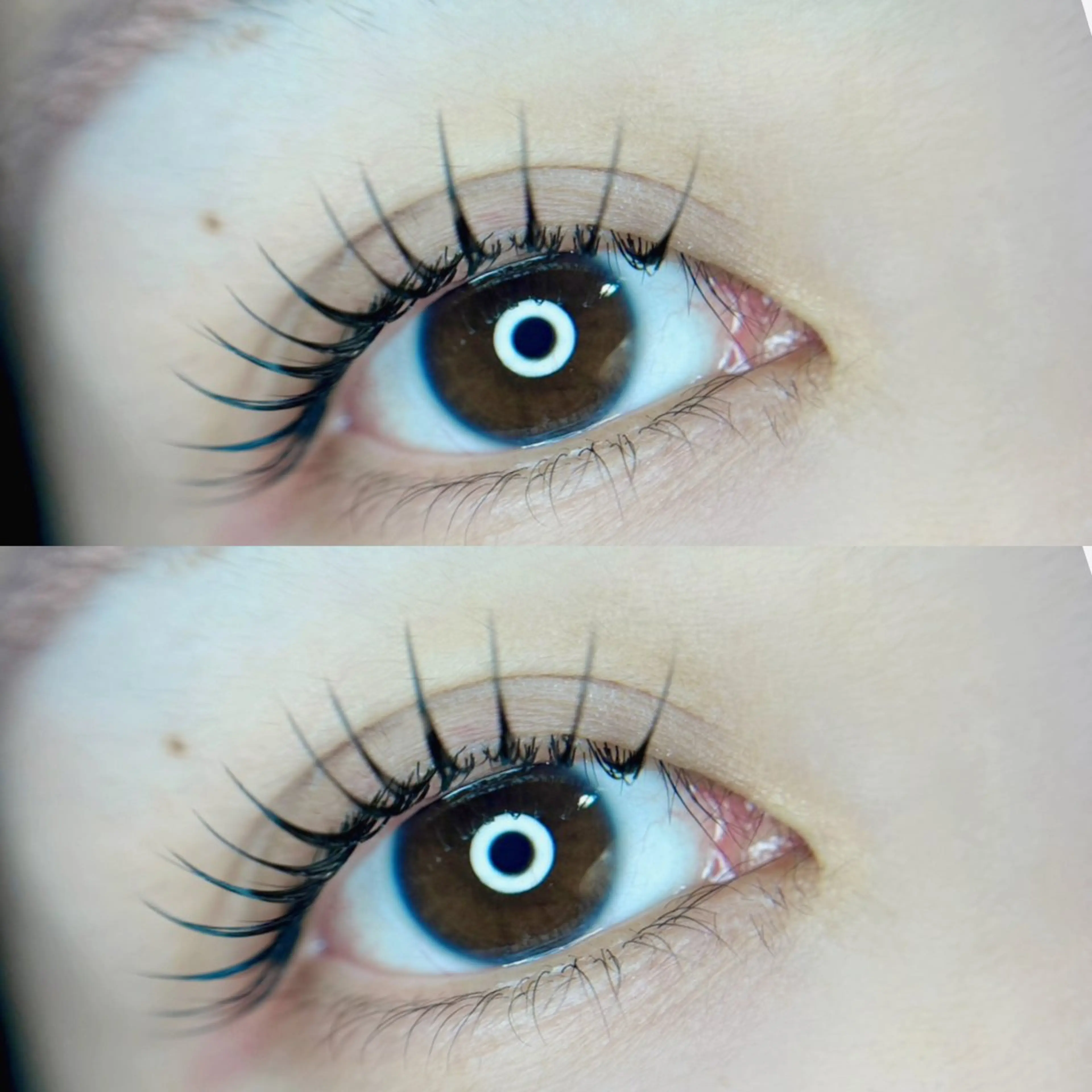 フラットラッシュ60〜180本🪡【本数により料金異なります】の写真