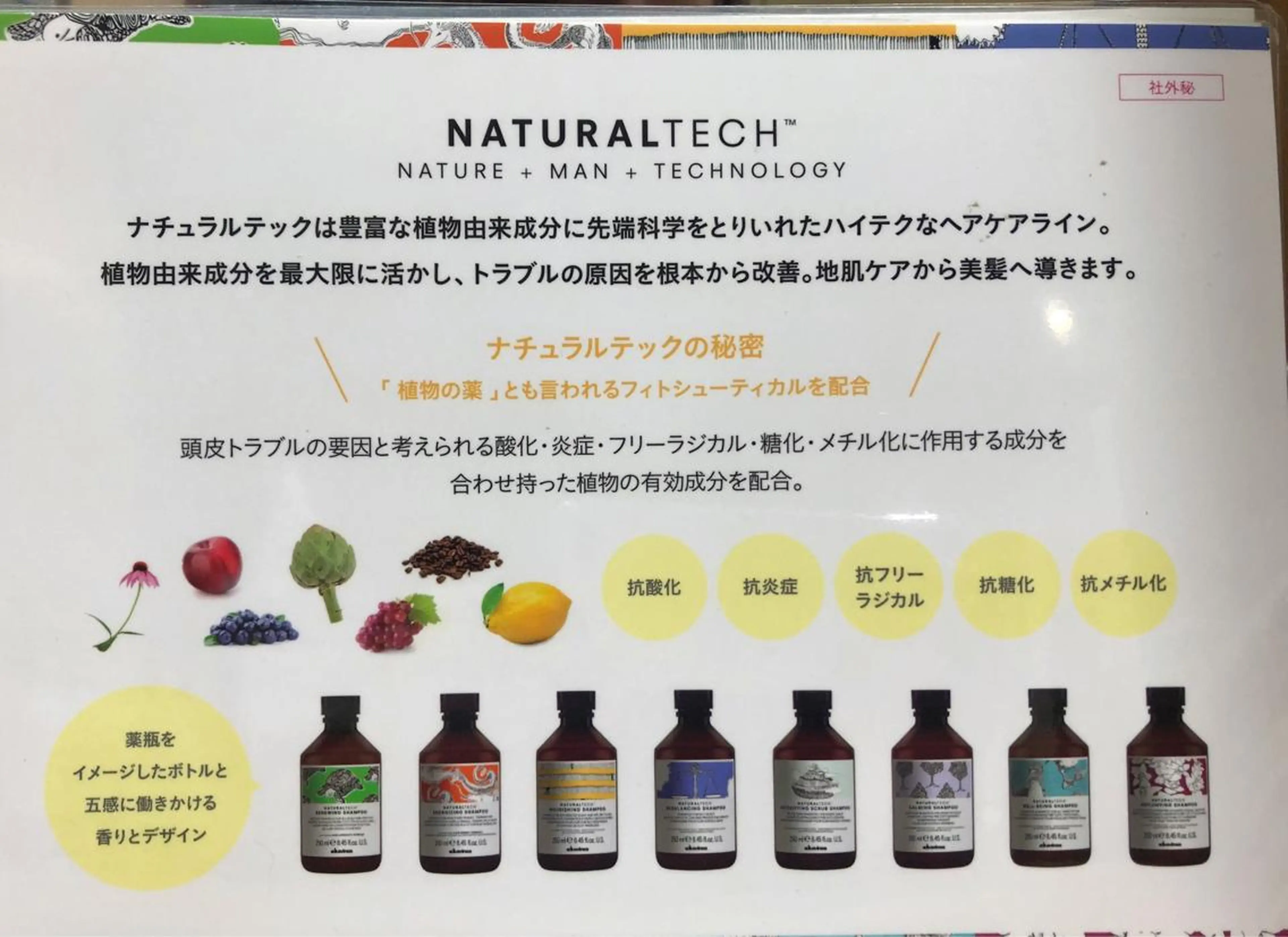 唐澤 千尋のヘアスタイル