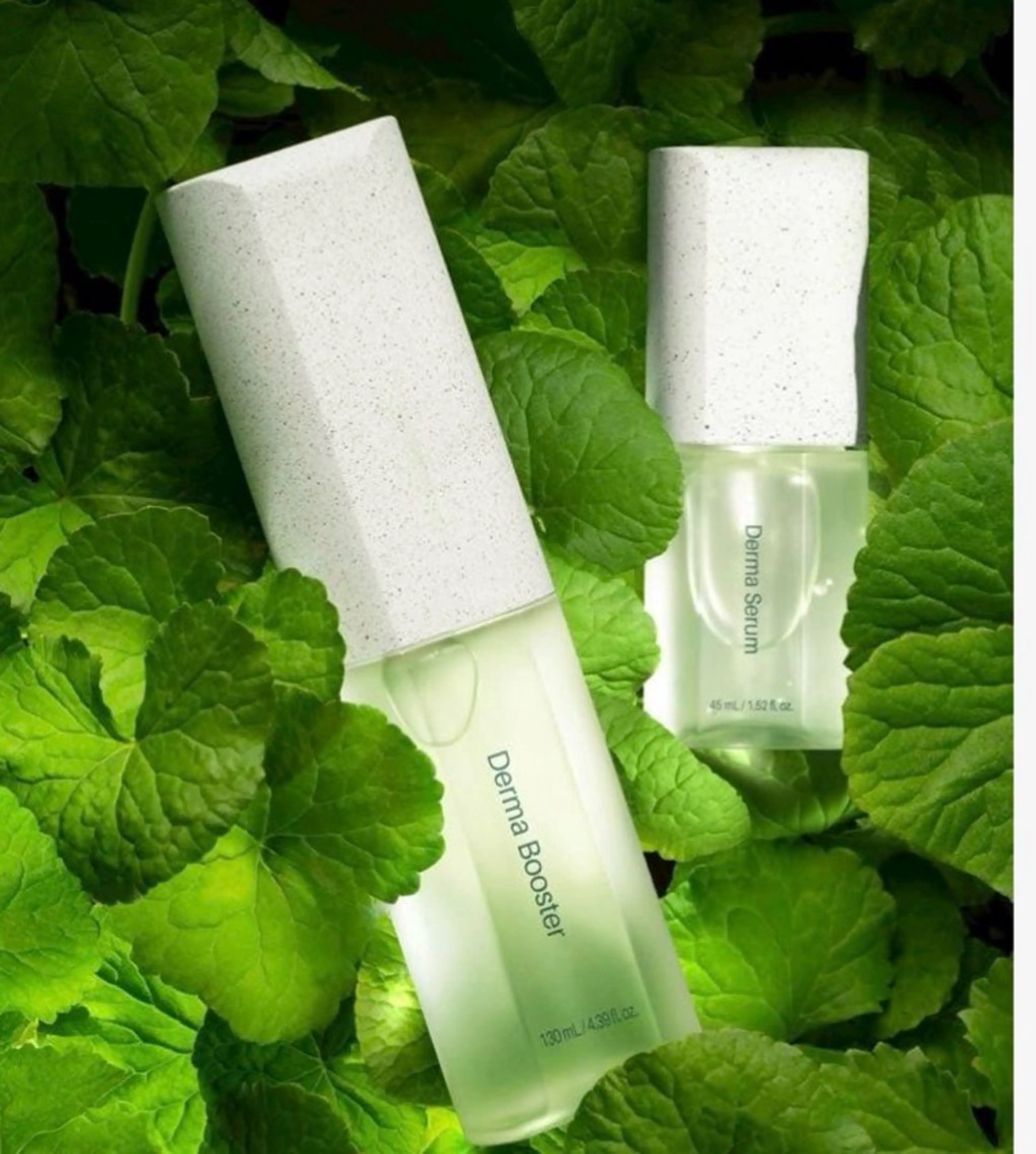 インセルダム体験コースの写真