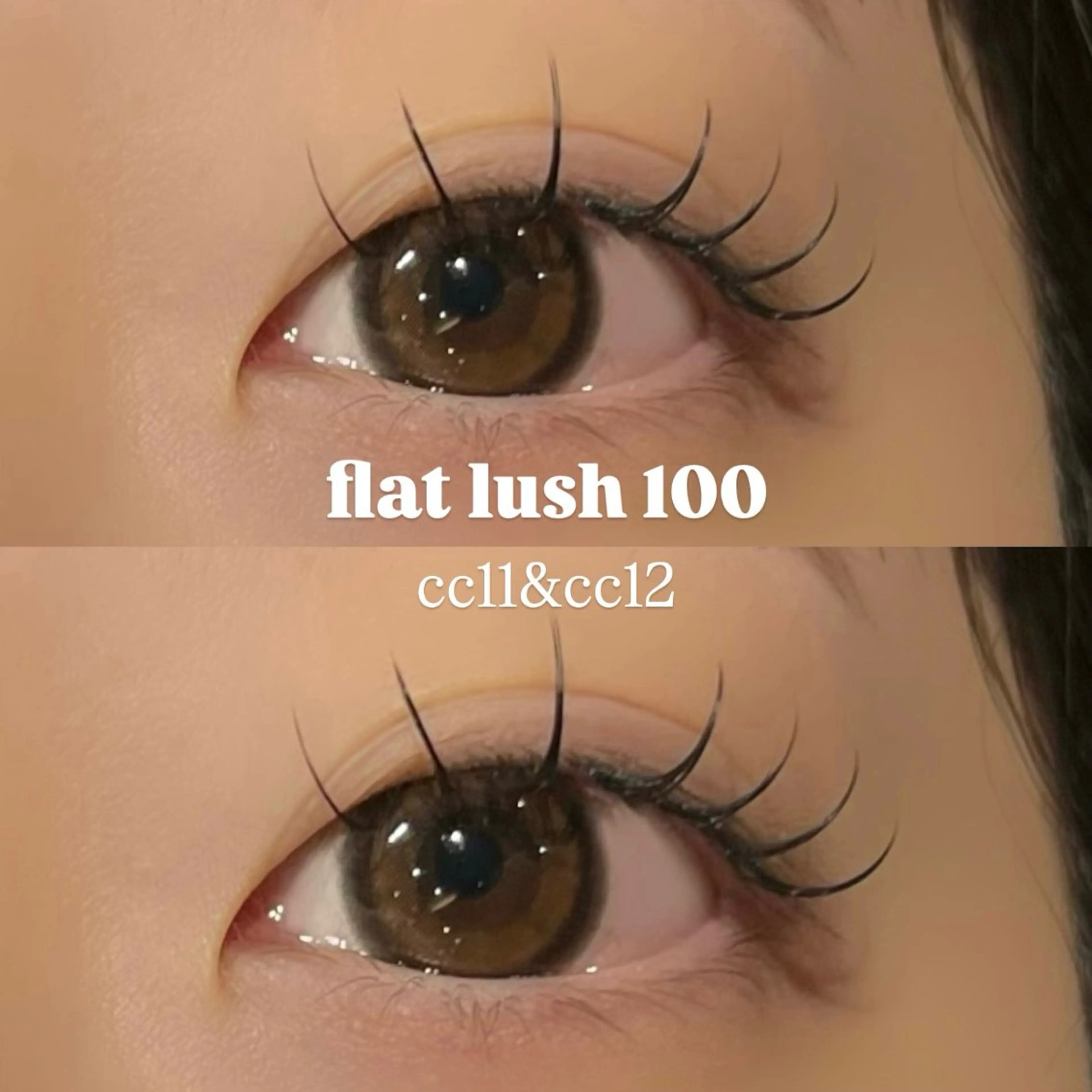 マツエク・マツパ 束感まつ毛 フラットラッシュ ナチュラル マツエク 🌿ayaki🌿 en Reveのマツエク・マツパデザイン