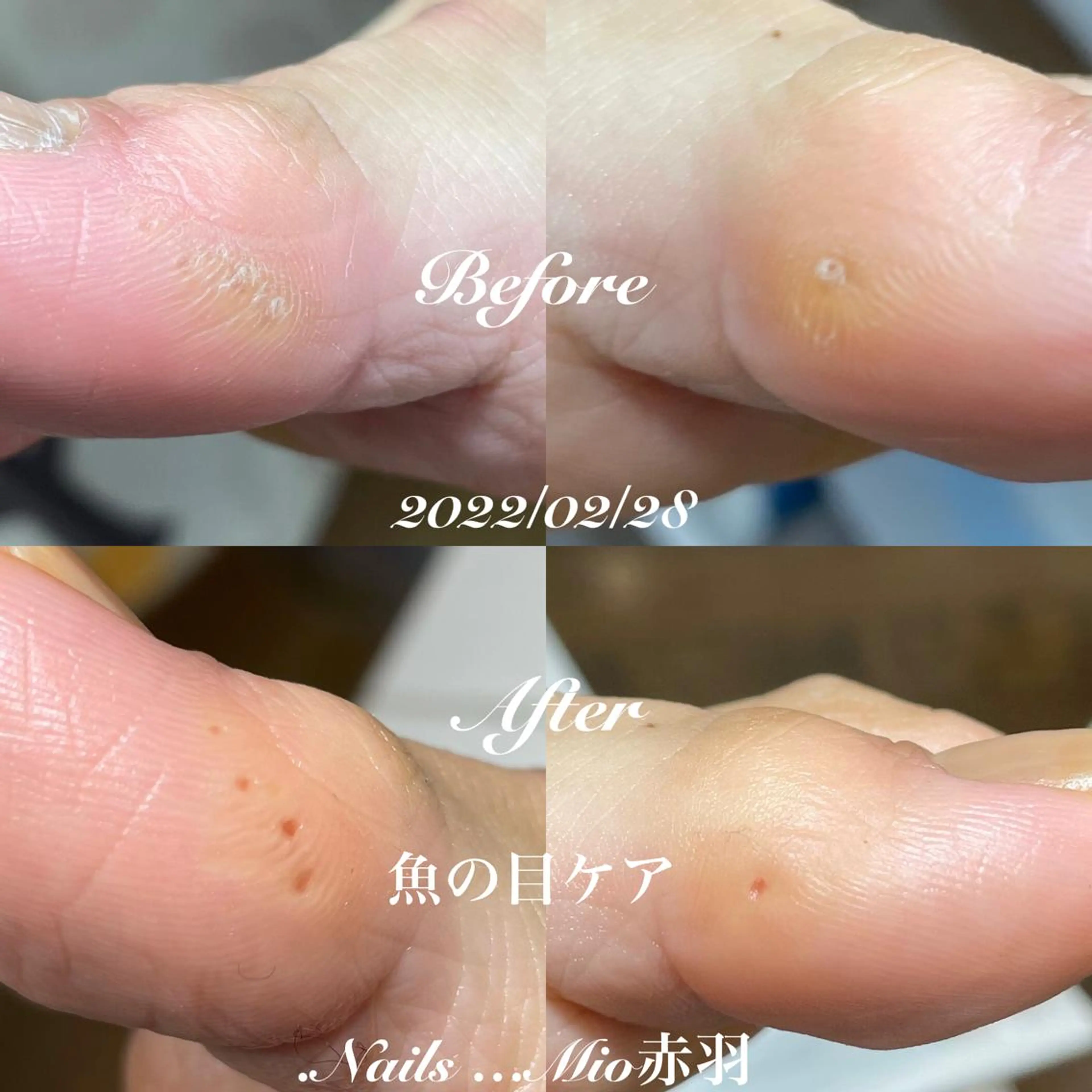 ネイル フットネイル .Nails Mio 赤羽西ネイルサロンのネイルデザイン