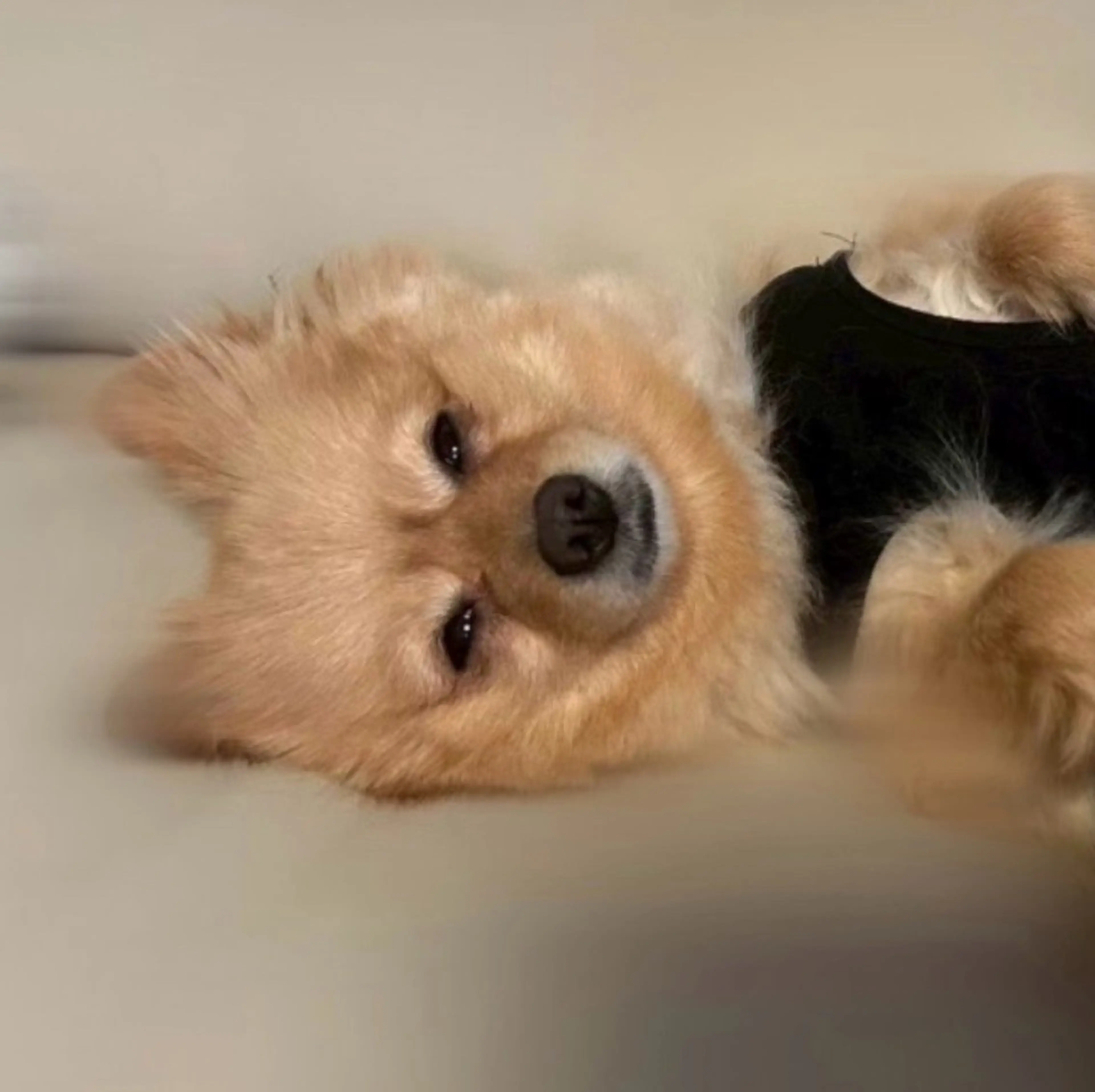 松本｜似合わせ眉 ×まつげパーマ×ヘアの眉毛・アイブロウイメージ