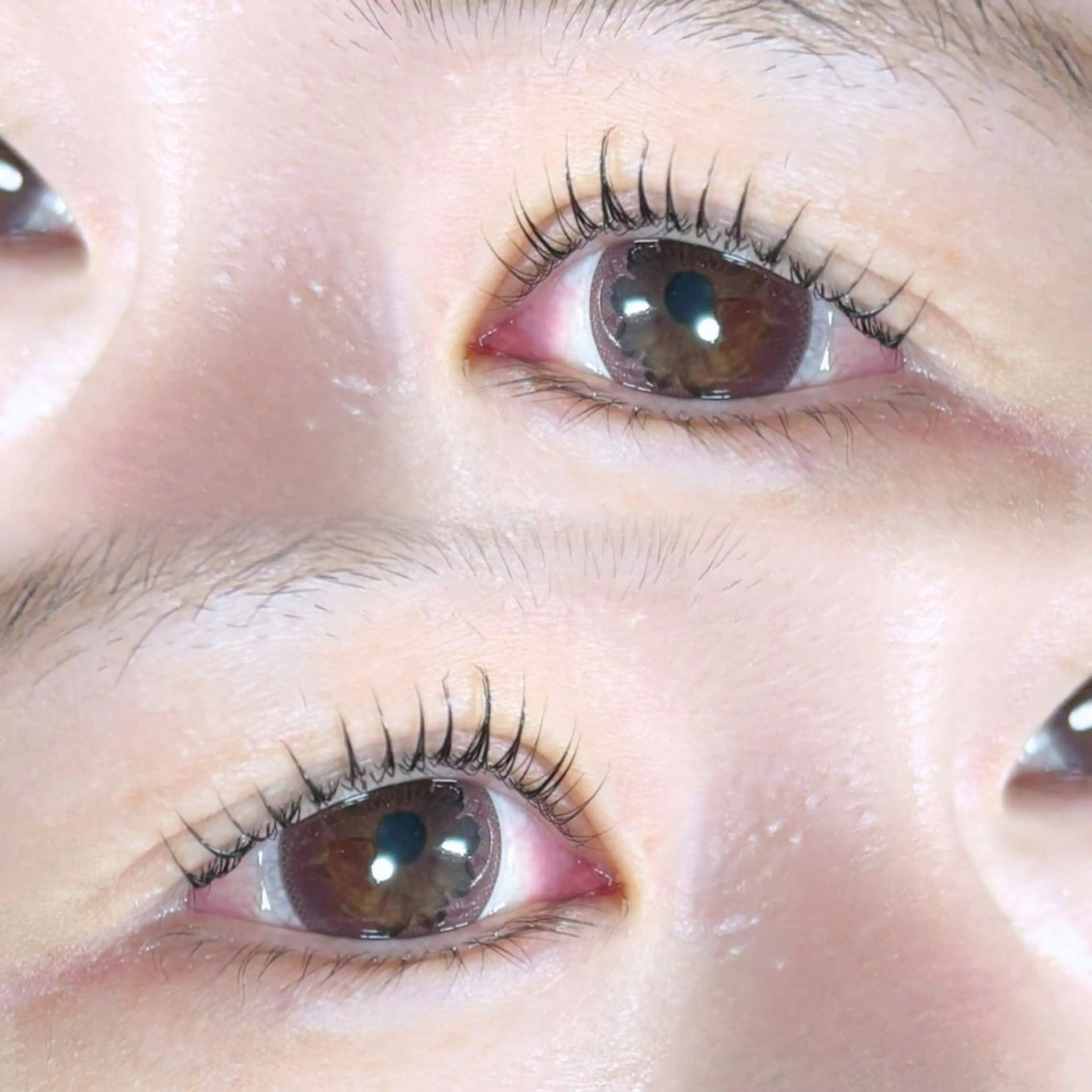 【まつ毛パーマ】パリジェンヌラッシュリフト＋コーティング仕上げ👀💜の写真